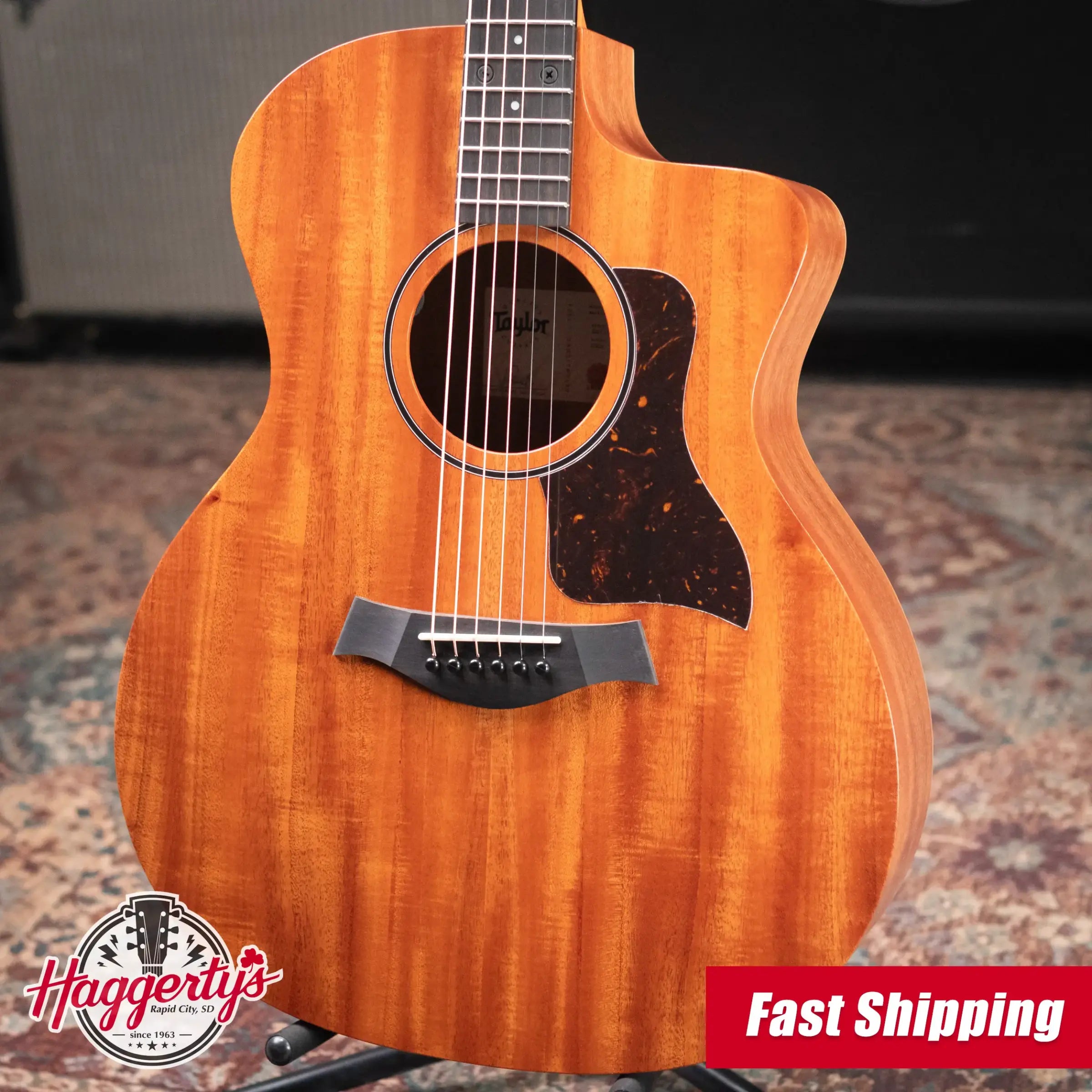 Taylor 24ce Grand Auditorium Acoustic/Electric Guitar with Gig Bag