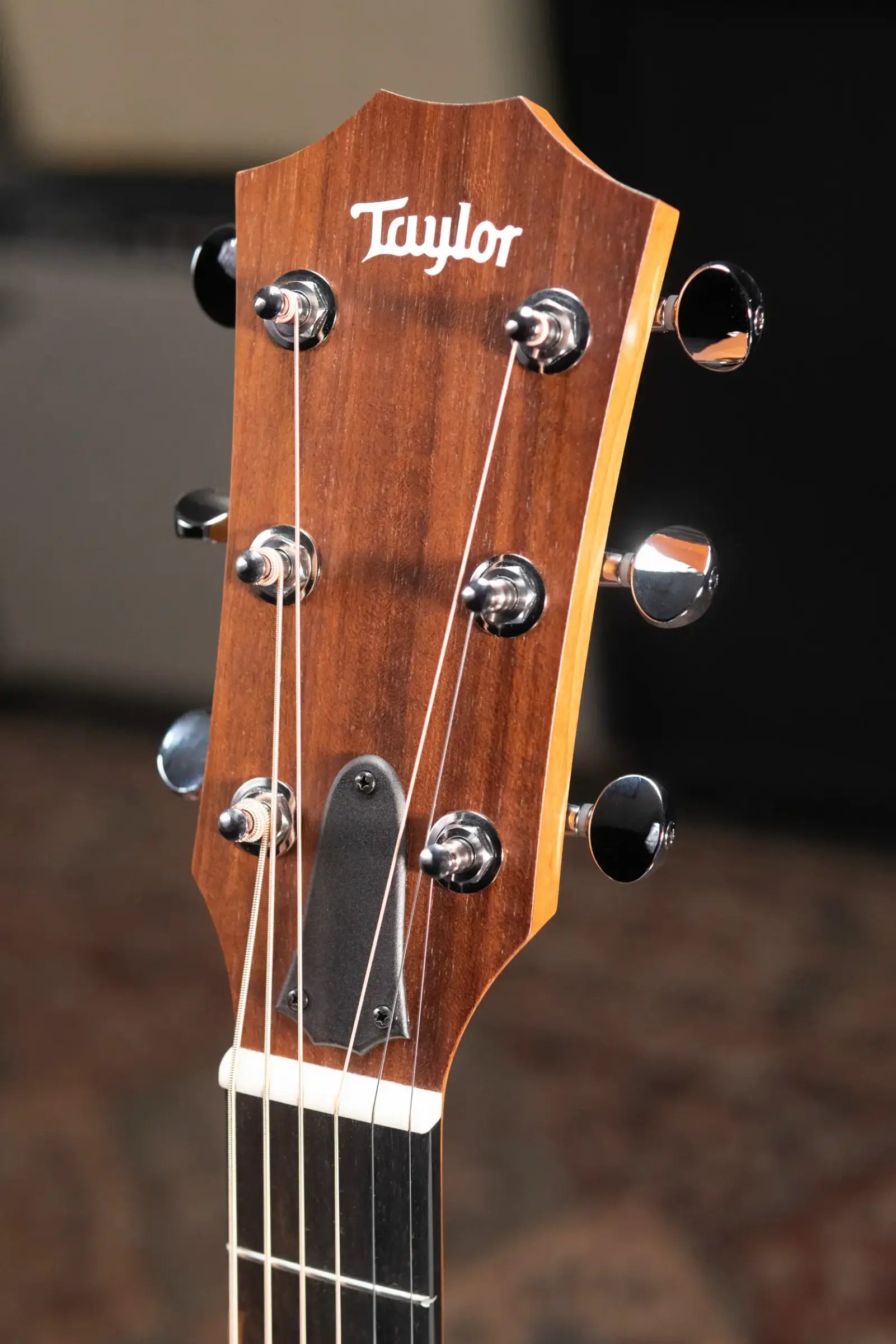 Taylor 24ce Grand Auditorium Acoustic/Electric Guitar with Gig Bag