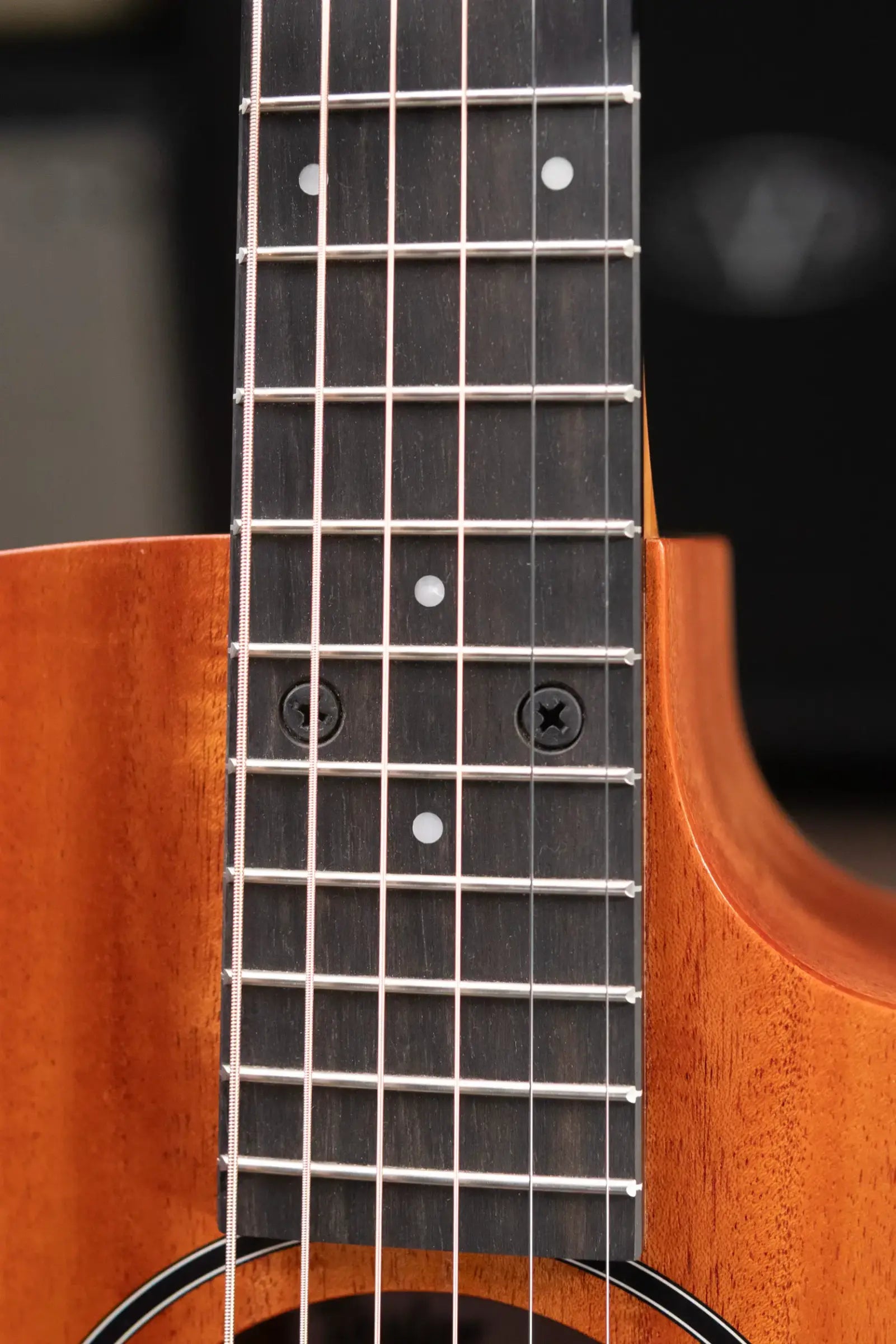 Taylor 24ce Grand Auditorium Acoustic/Electric Guitar with Gig Bag