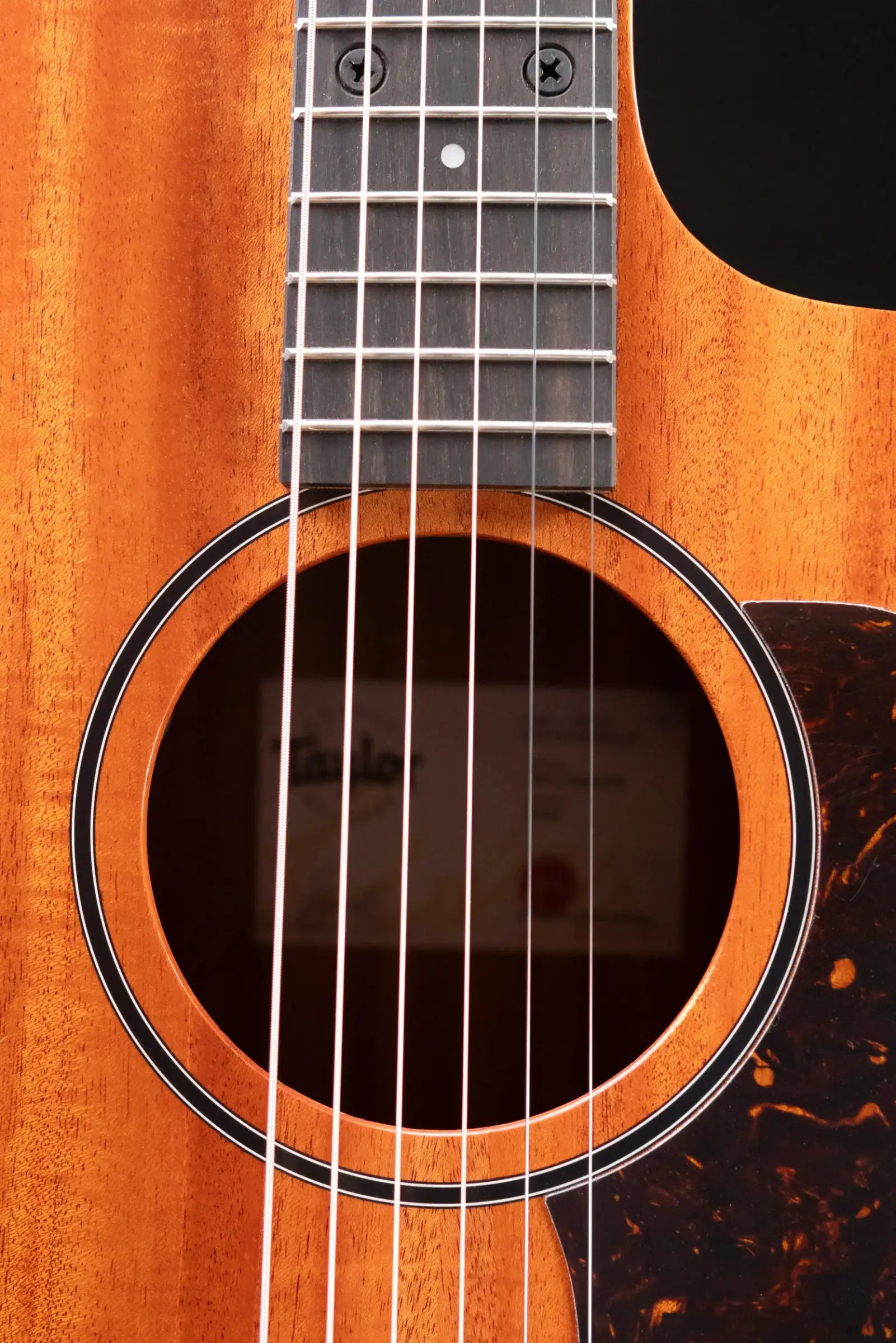 Taylor 24ce Grand Auditorium Acoustic/Electric Guitar with Gig Bag