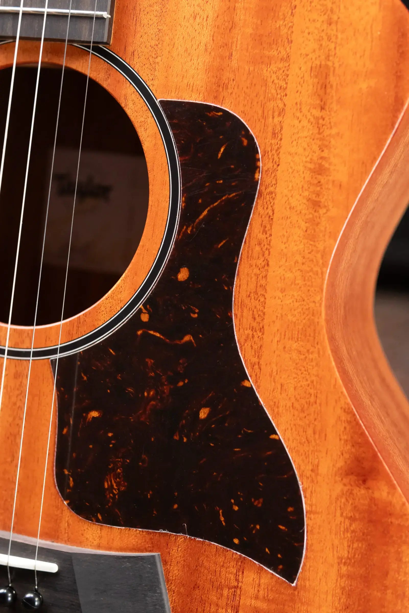 Taylor 24ce Grand Auditorium Acoustic/Electric Guitar with Gig Bag