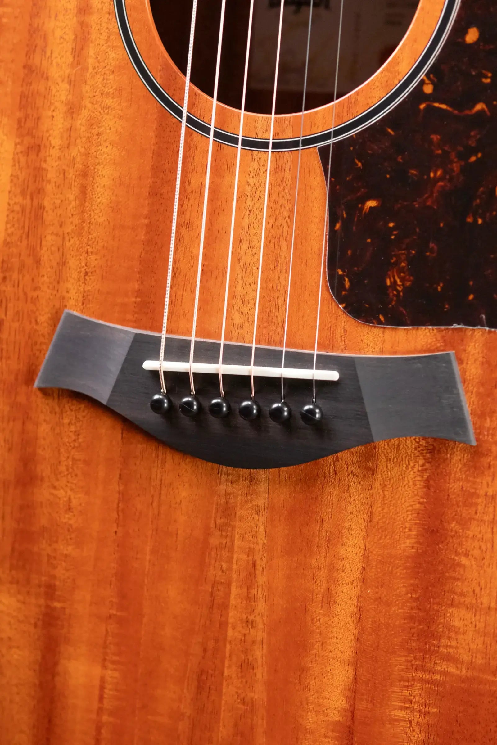 Taylor 24ce Grand Auditorium Acoustic/Electric Guitar with Gig Bag