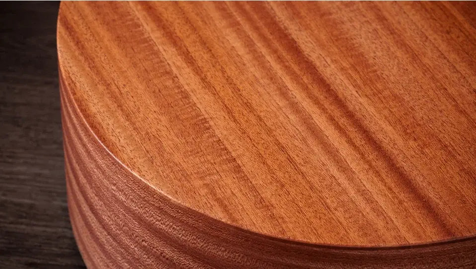 Taylor 24ce Grand Auditorium Acoustic/Electric Guitar with Gig Bag