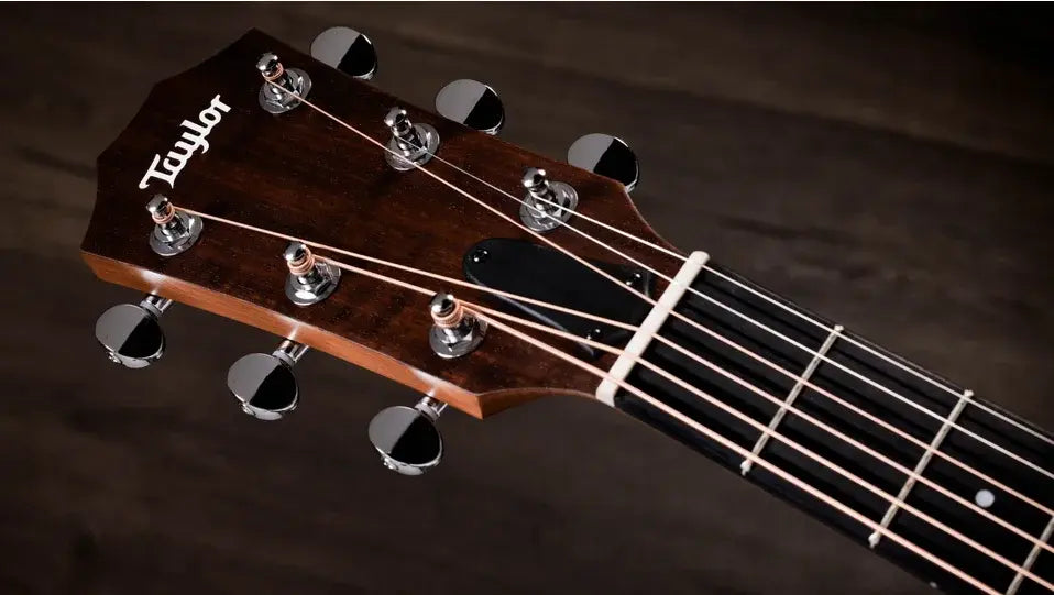 Taylor 24ce Grand Auditorium Acoustic/Electric Guitar with Gig Bag