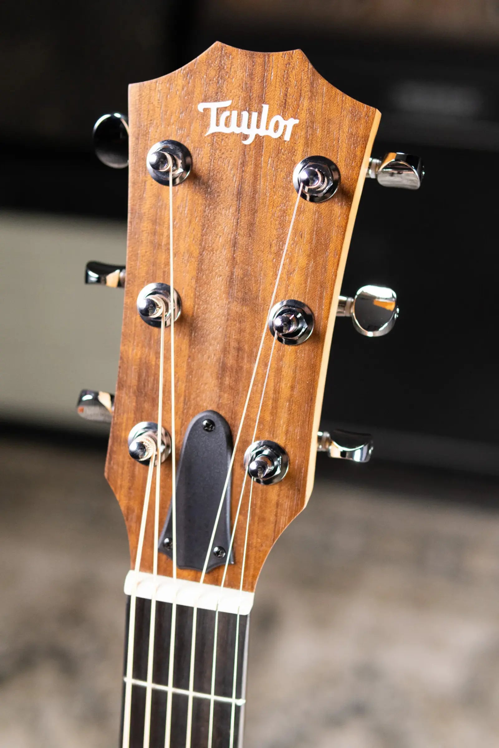 Taylor 24ce Grand Auditorium Acoustic/Electric Guitar with Gig Bag