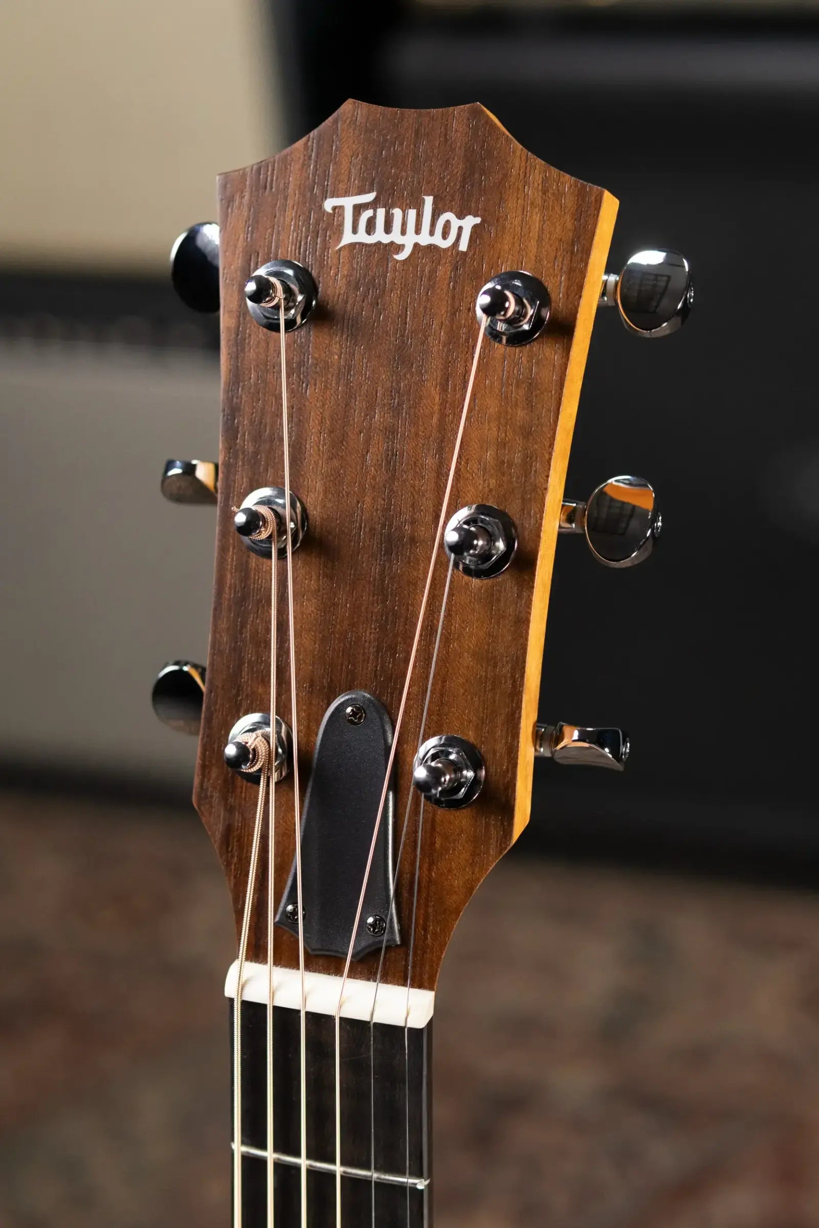 Taylor 24ce Grand Auditorium Acoustic/Electric Guitar with Gig Bag