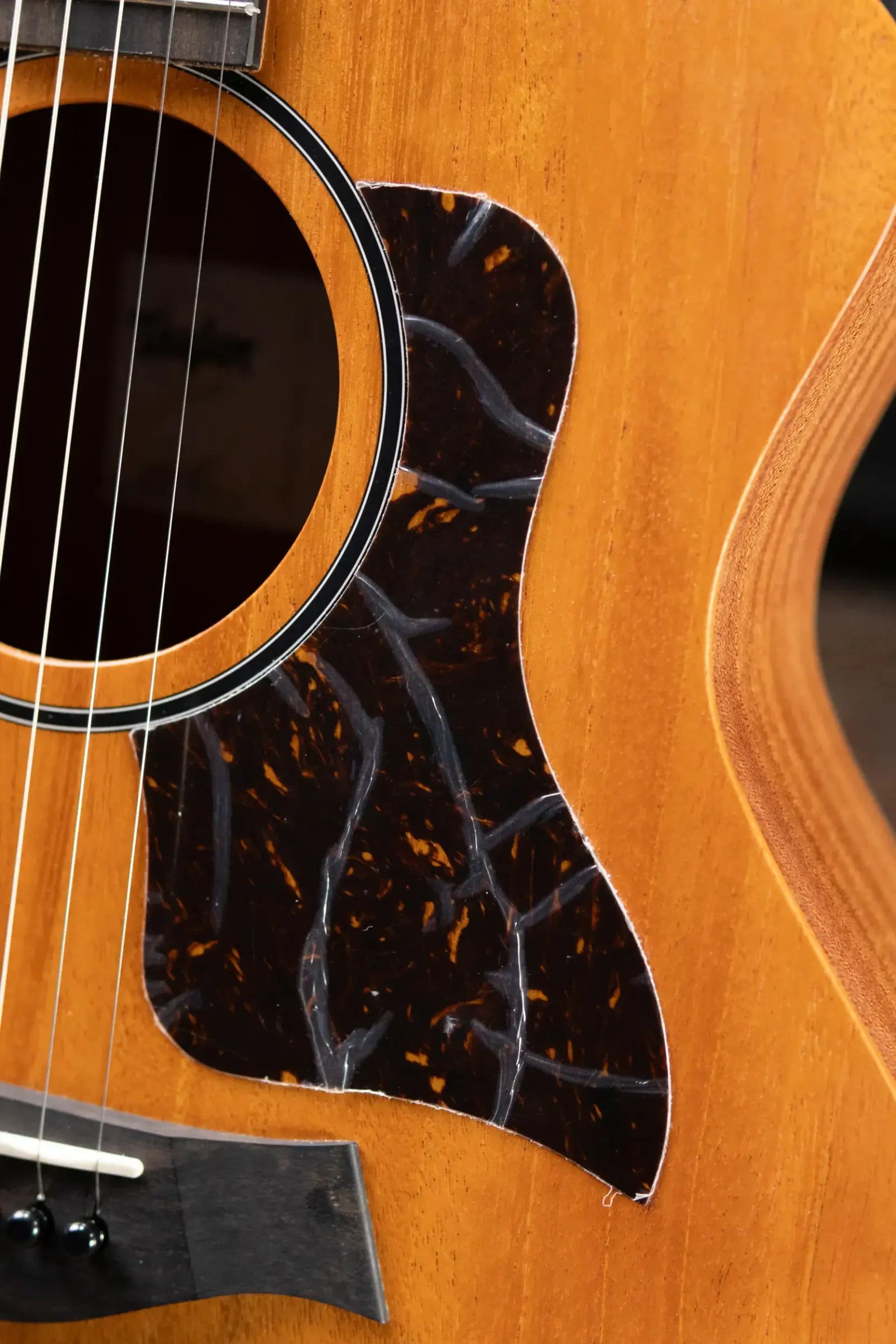 Taylor 24ce Grand Auditorium Acoustic-Electric Guitar with Gig Bag - Floor Demo