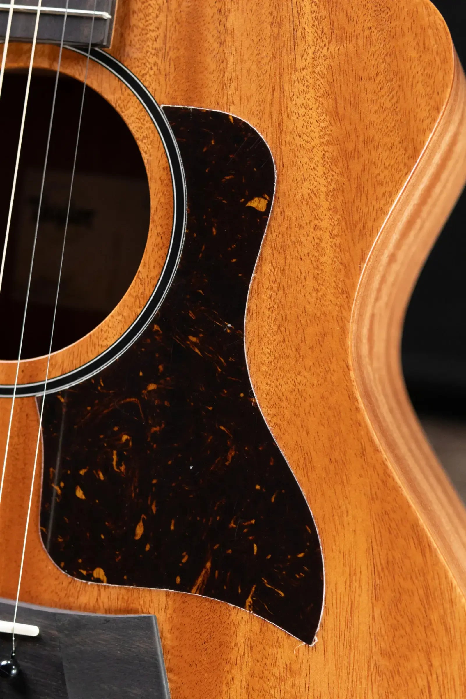 Taylor 24ce Grand Auditorium Acoustic-Electric Guitar with Gig Bag - Floor Demo