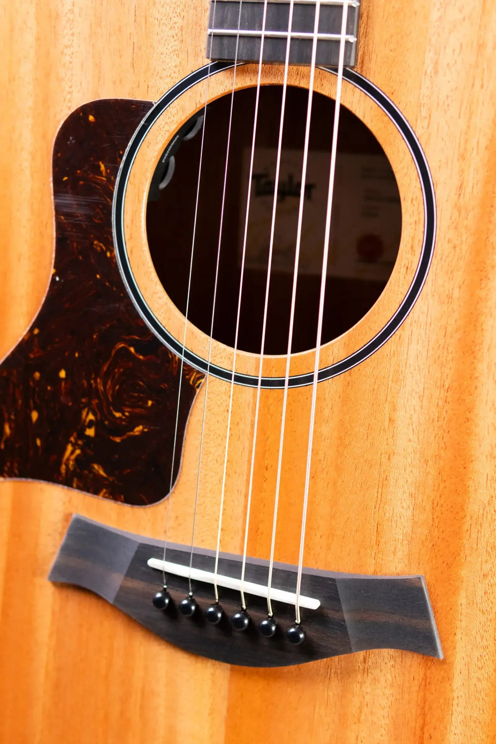 Taylor 24ce Left-Hand Grand Auditorium Acoustic/Electric Guitar with Gig Bag