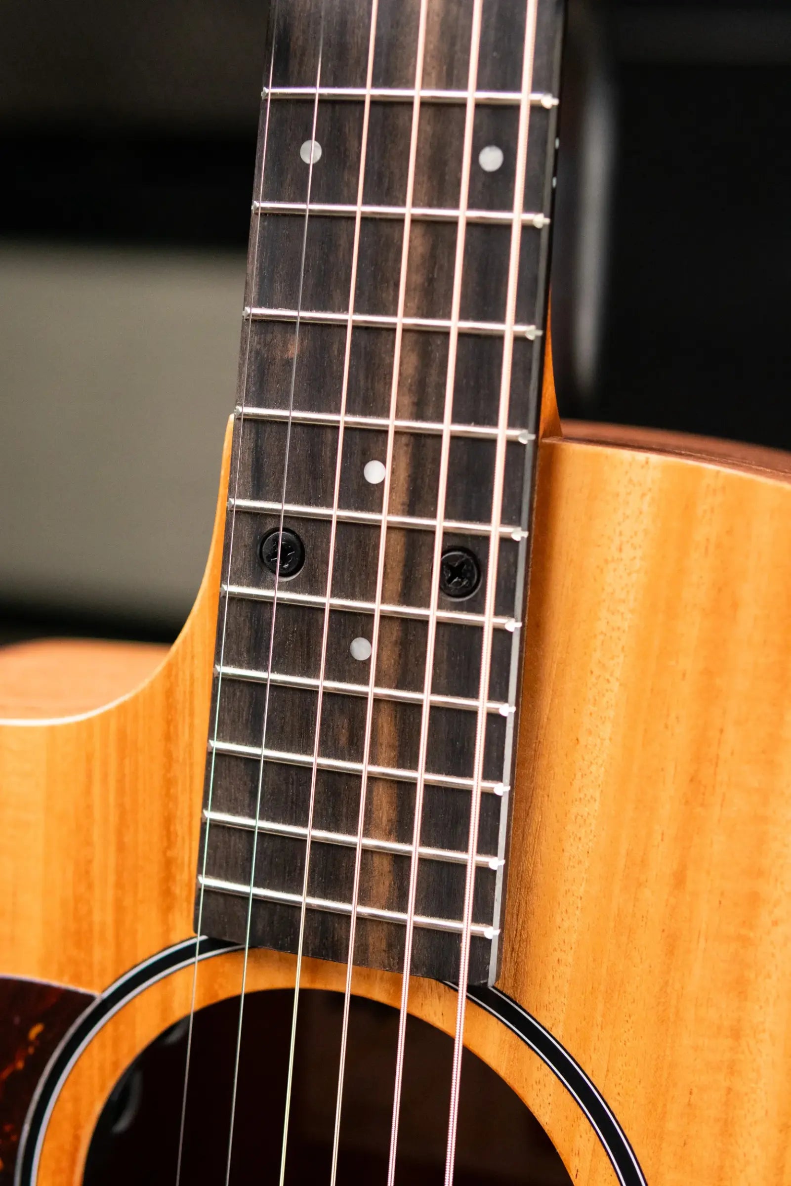 Taylor 24ce Left-Handed Grand Auditorium Acoustic/Electric Guitar with Gig Bag