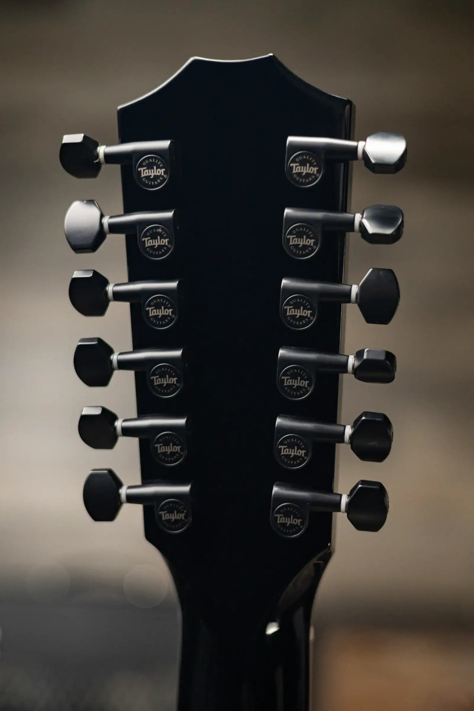 Taylor 250ce-BLK Plus 12-String Acoustic/Electric Guitar - Black with Aerocase