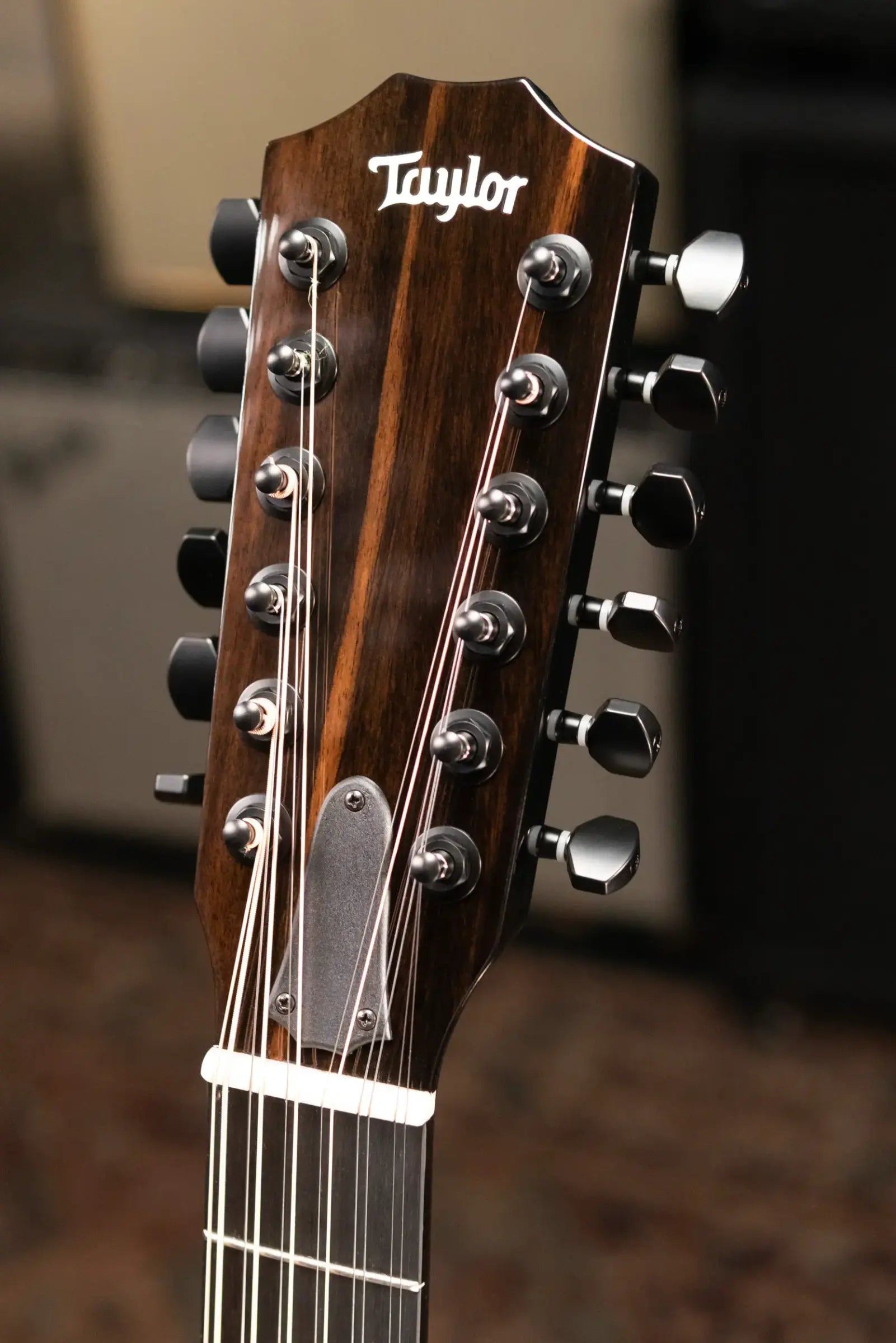 Taylor 250ce-BLK Plus 12-String Dreadnought Acoustic/Electric Guitar - Black with Aerocase - Factory Demo