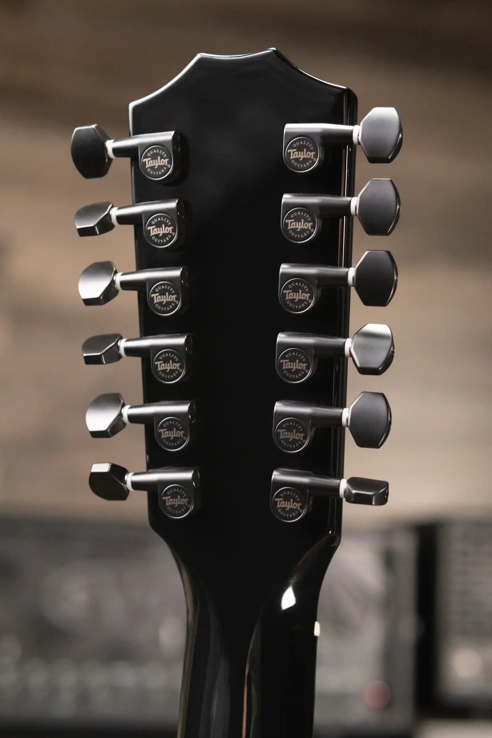 Taylor 250ce-BLK Plus 12-String Dreadnought Acoustic/Electric Guitar - Black with Aerocase - Factory Demo