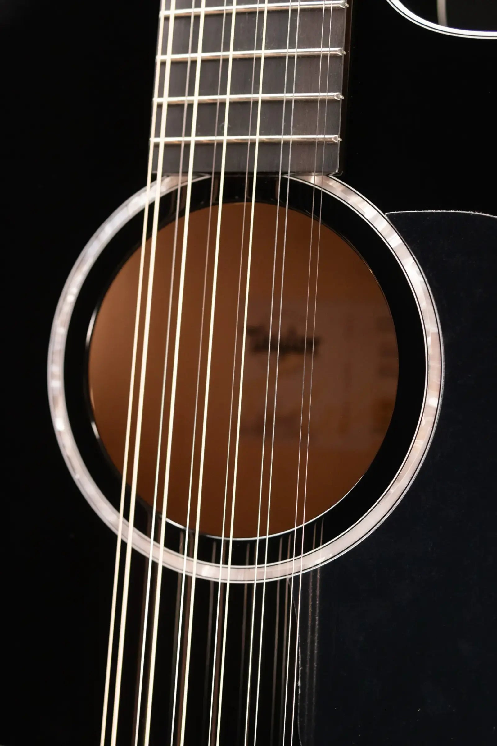 Taylor 250ce-BLK Plus 12-String Dreadnought Acoustic/Electric Guitar - Black with Aerocase - Factory Demo