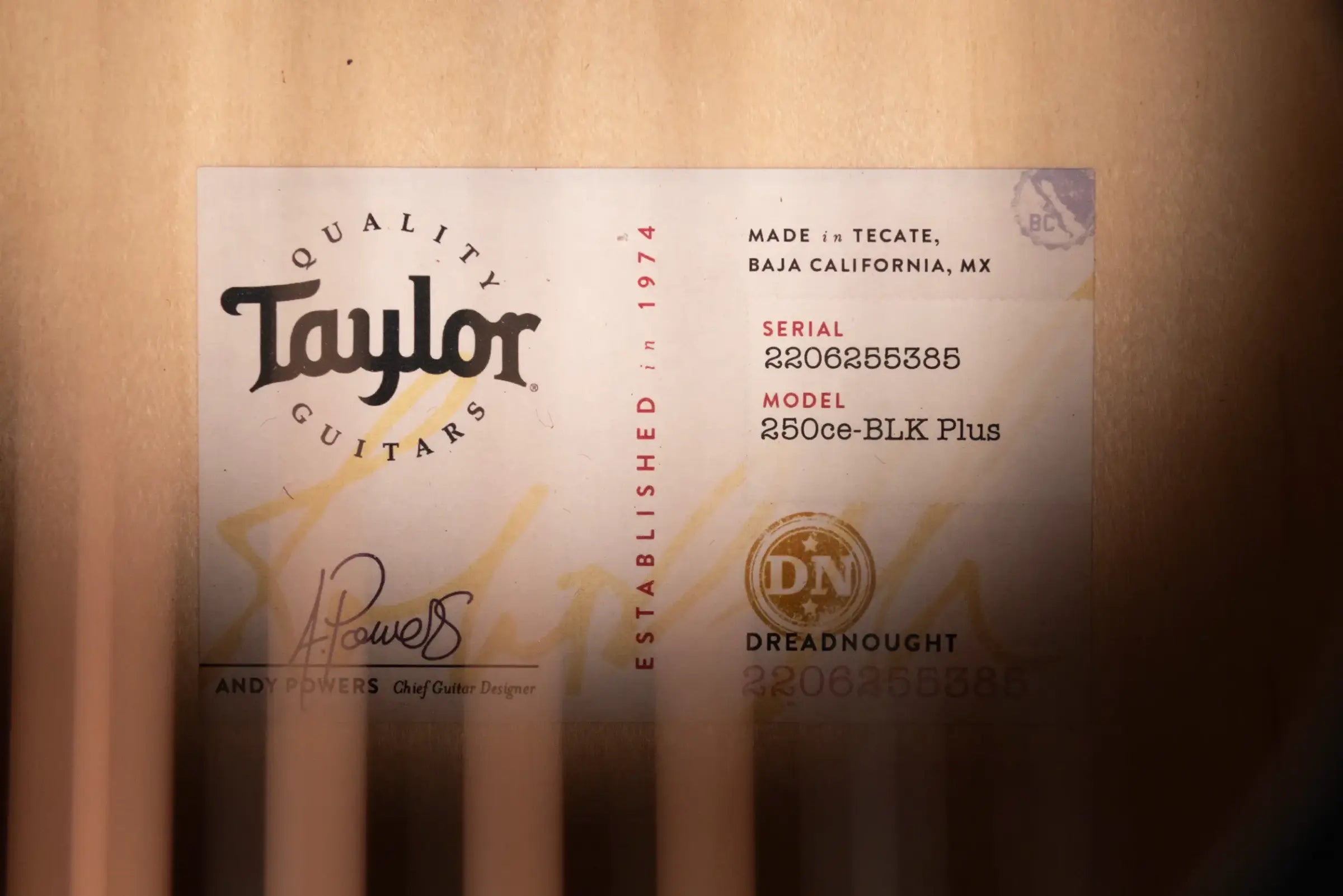 Taylor 250ce-BLK Plus 12-String Dreadnought Acoustic/Electric Guitar - Black with Aerocase - Factory Demo