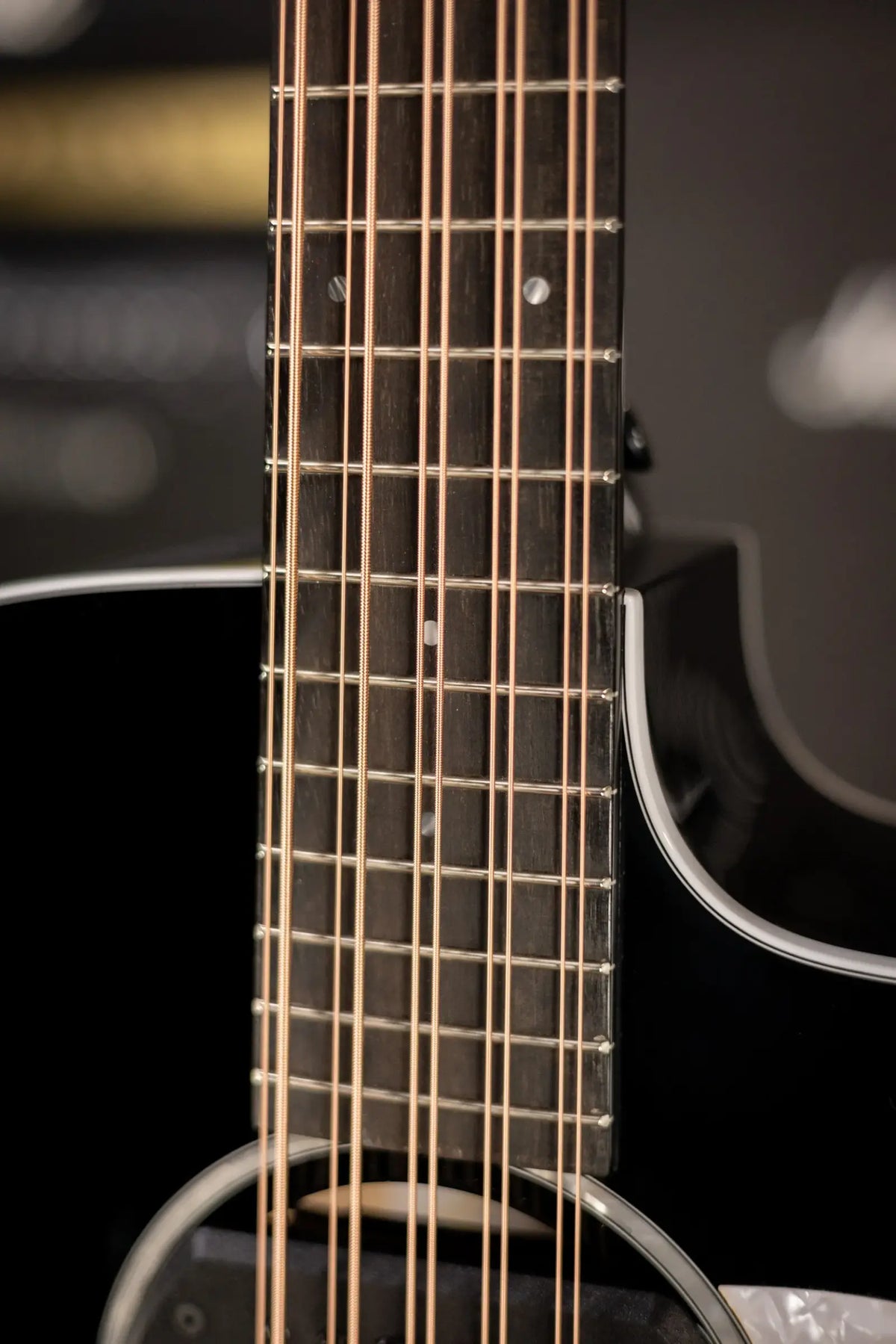 Taylor 250ce Plus BLK Bajo Quinto Acoustic/Electric Guitar - Black with Aerocase - Factory Demo