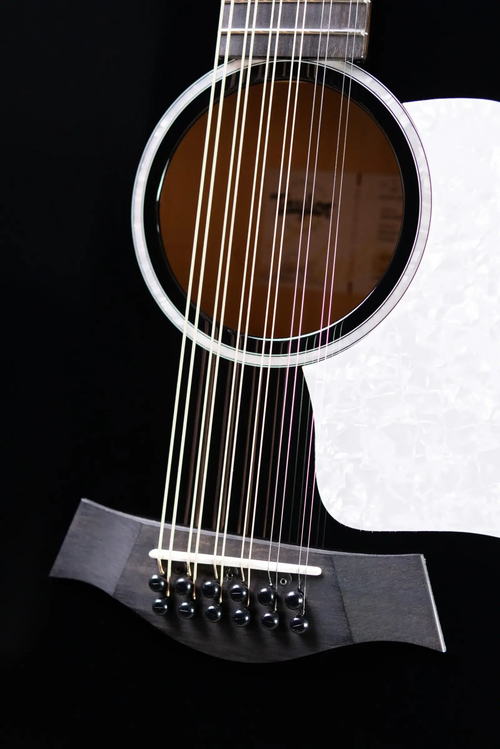 Taylor 250ce Plus BLK Doce Doble Acoustic/Electric Guitar - Black with Aerocase