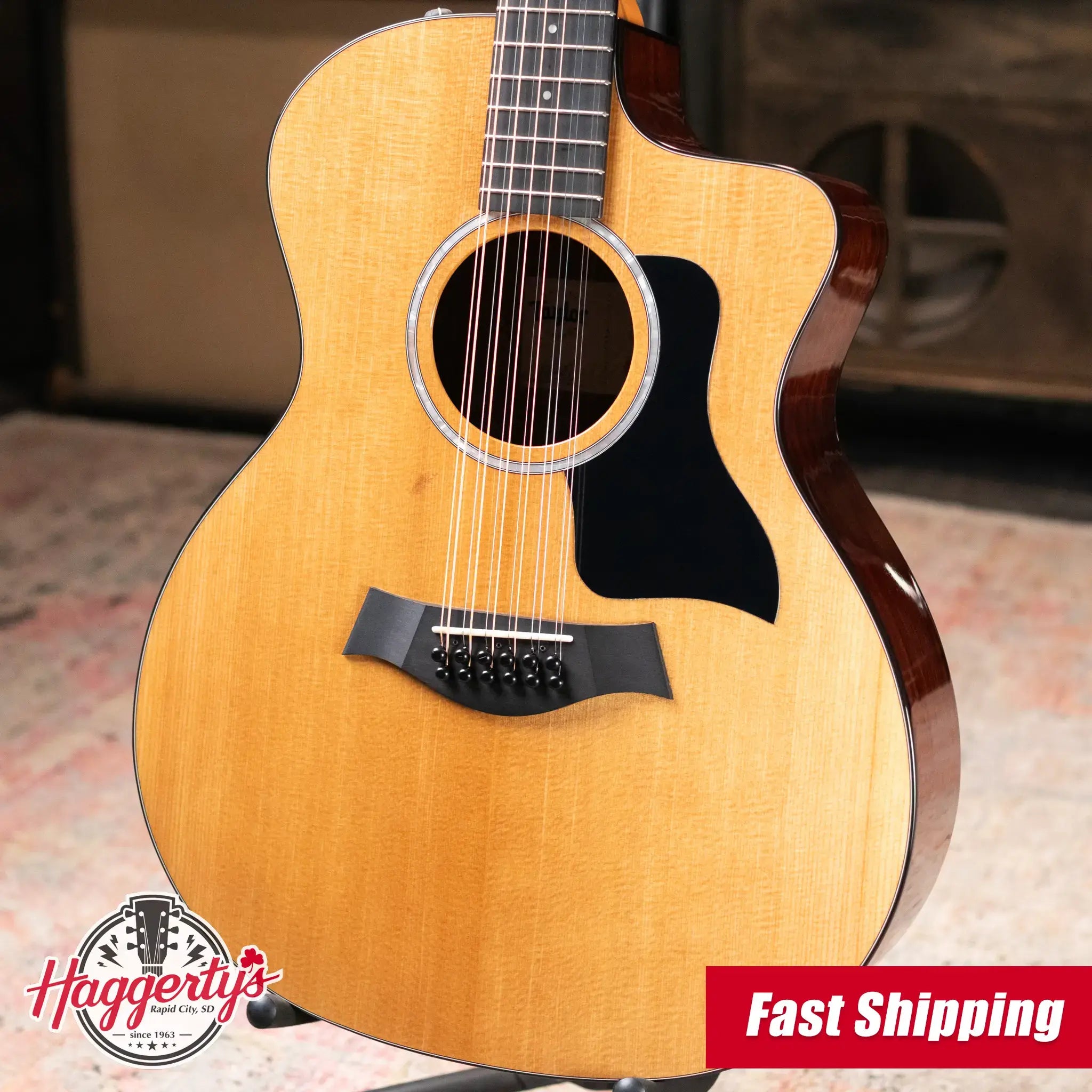 Taylor 254ce Plus 12-String Grand Auditorium Acoustic/Electric Guitar with Aerocase