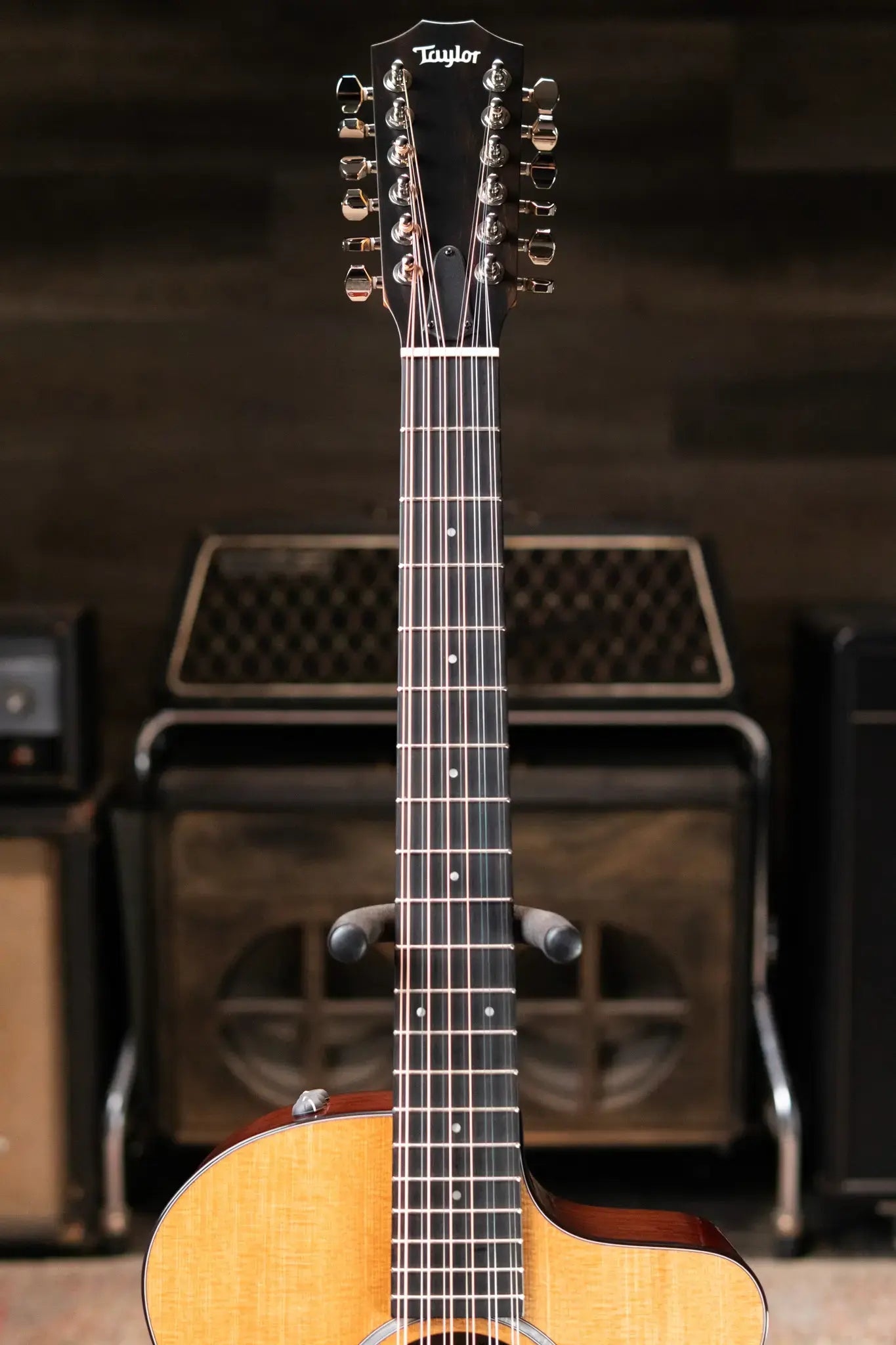 Taylor 254ce Plus 12-String Grand Auditorium Acoustic/Electric Guitar with Aerocase