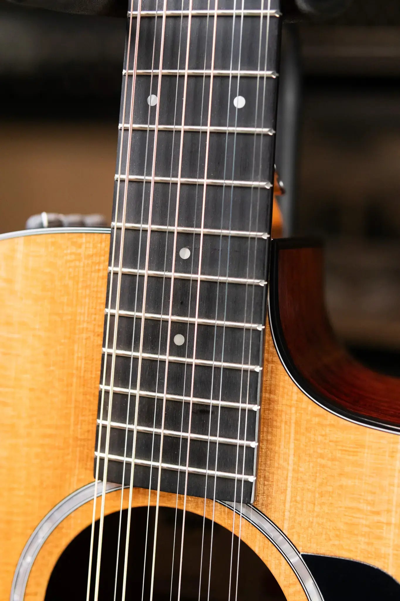Taylor 254ce Plus 12-String Grand Auditorium Acoustic/Electric Guitar with Aerocase