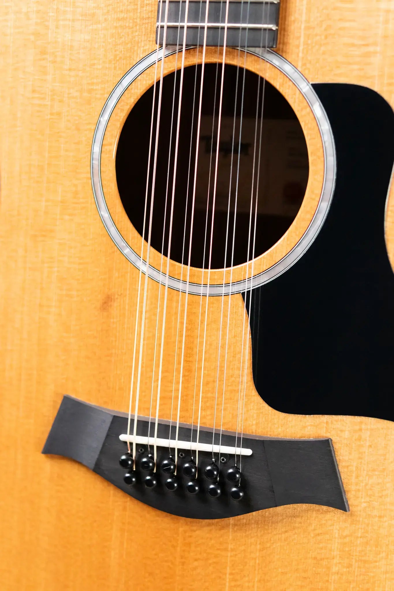 Taylor 254ce Plus 12-String Grand Auditorium Acoustic/Electric Guitar with Aerocase