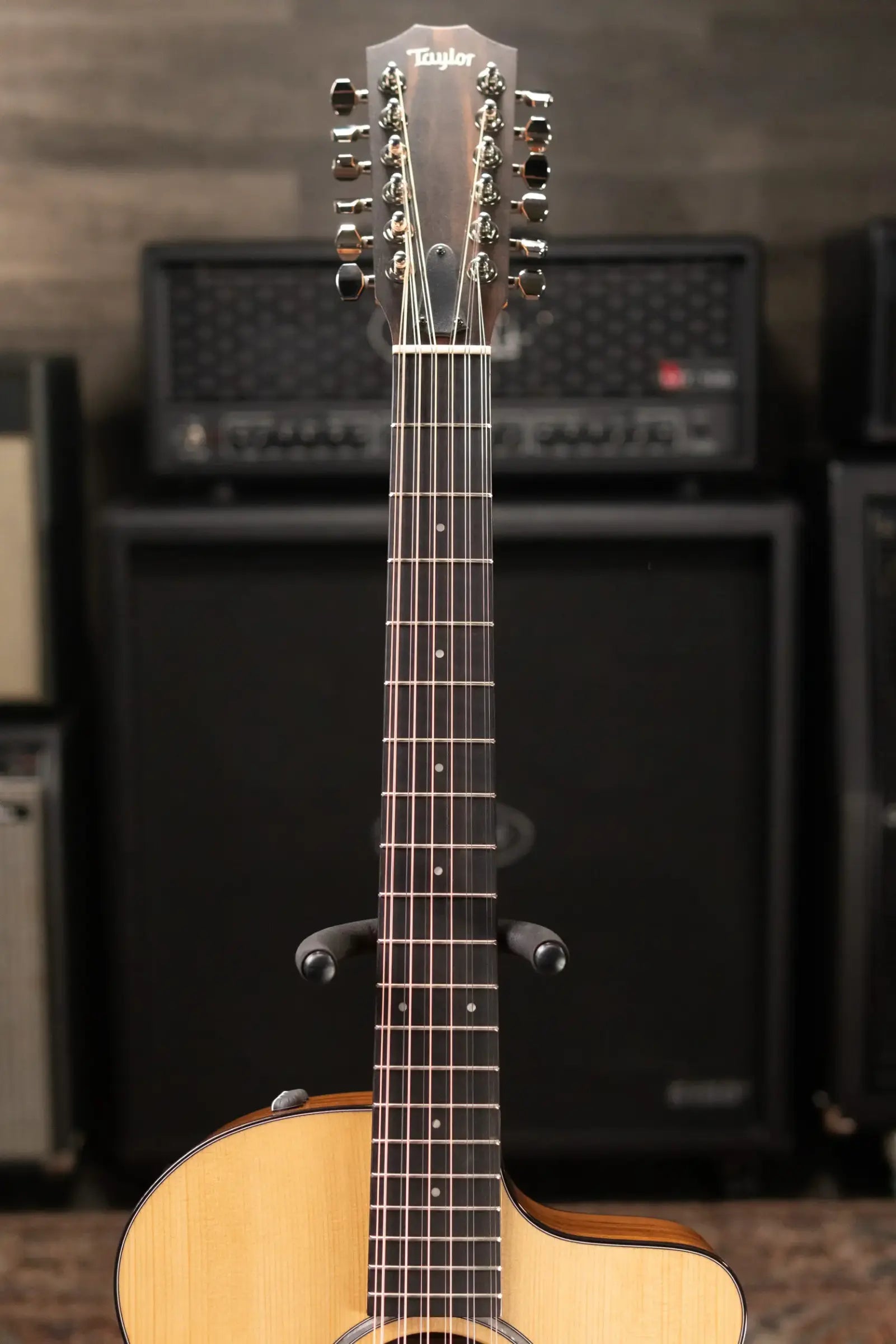 Taylor 254ce Plus 12-String Grand Auditorium Acoustic/Electric Guitar with Aerocase