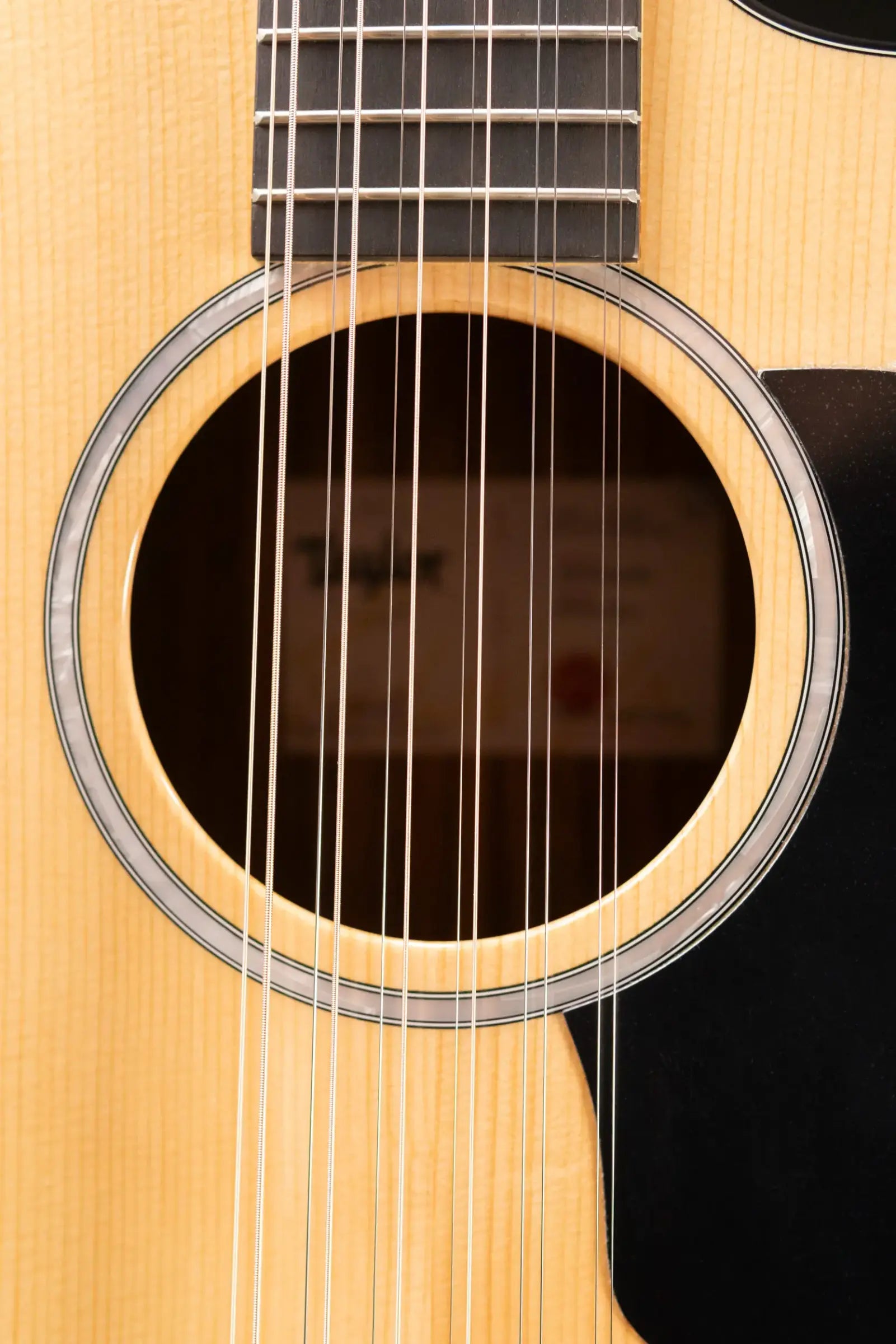 Taylor 254ce Plus 12-String Grand Auditorium Acoustic/Electric Guitar with Aerocase