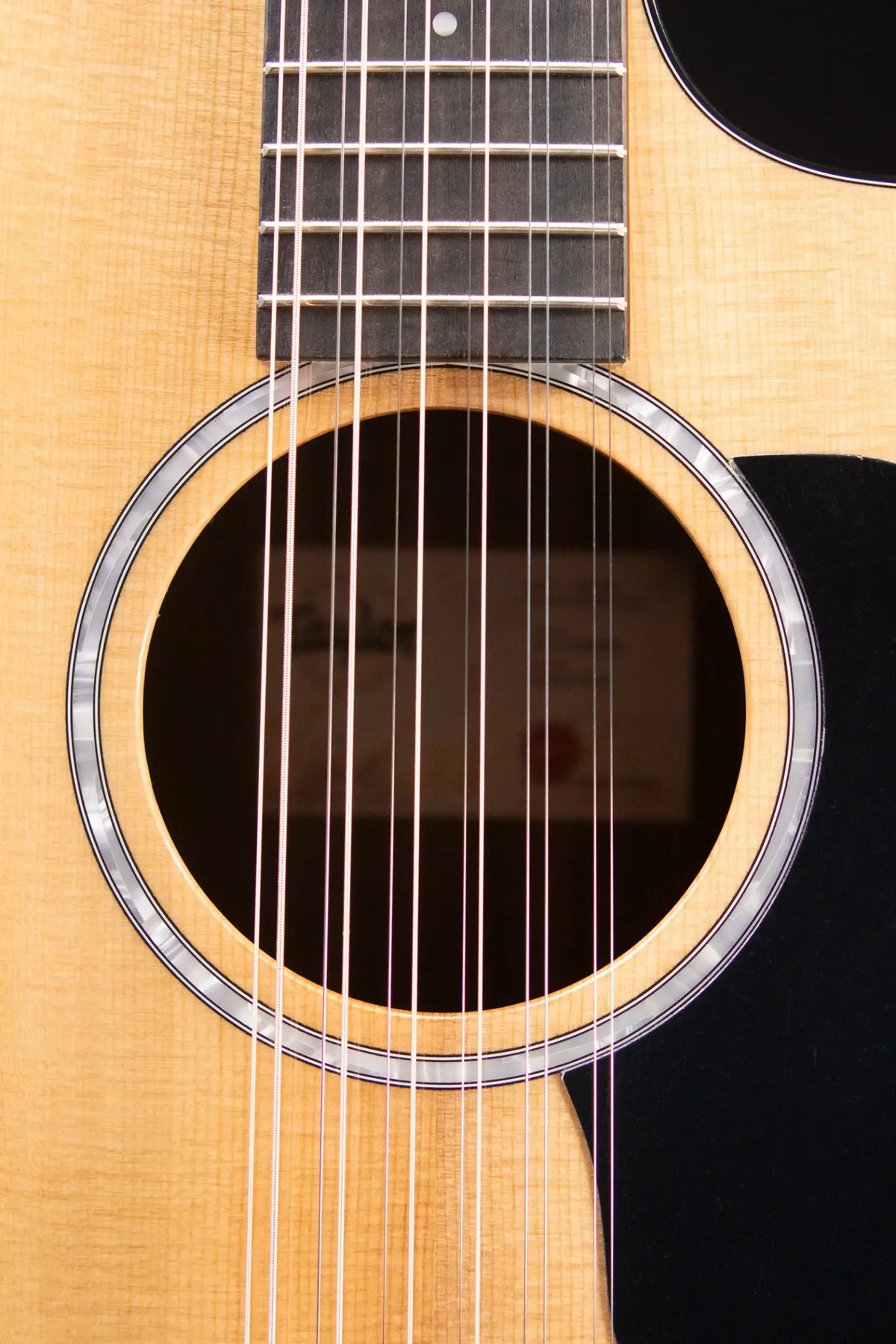 Taylor 254ce Plus 12-String Grand Auditorium Acoustic/Electric Guitar with Aerocase