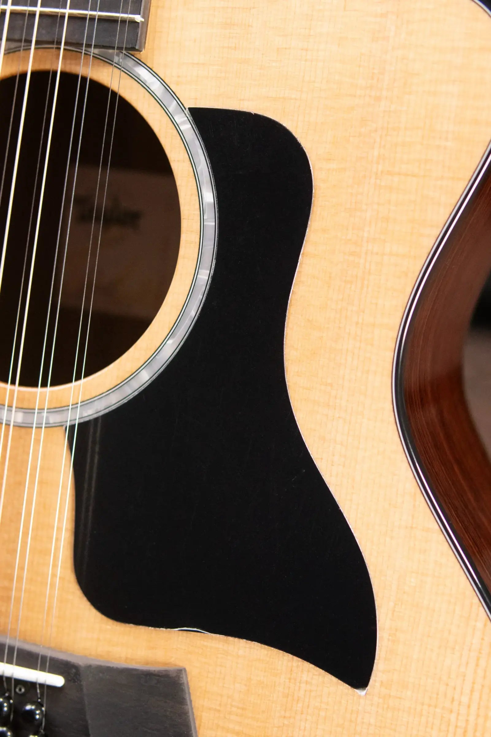 Taylor 254ce Plus 12-String Grand Auditorium Acoustic/Electric Guitar with Aerocase