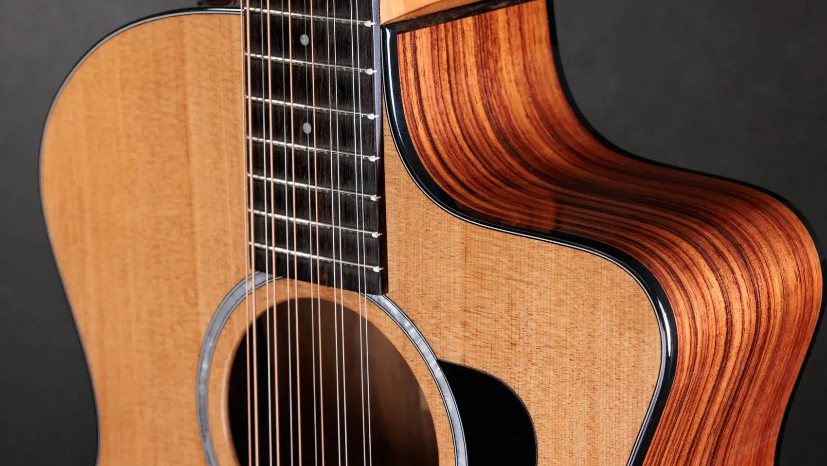 Taylor 254ce Plus 12-String Grand Auditorium Acoustic/Electric Guitar with Aerocase