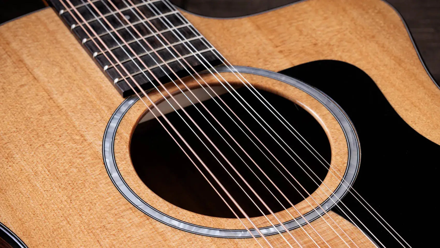 Taylor 254ce Plus 12-String Grand Auditorium Acoustic/Electric Guitar with Aerocase