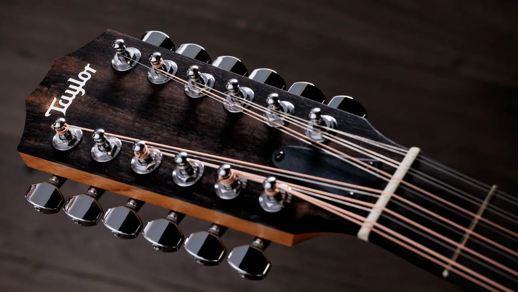 Taylor 254ce Plus 12-String Grand Auditorium Acoustic/Electric Guitar with Aerocase