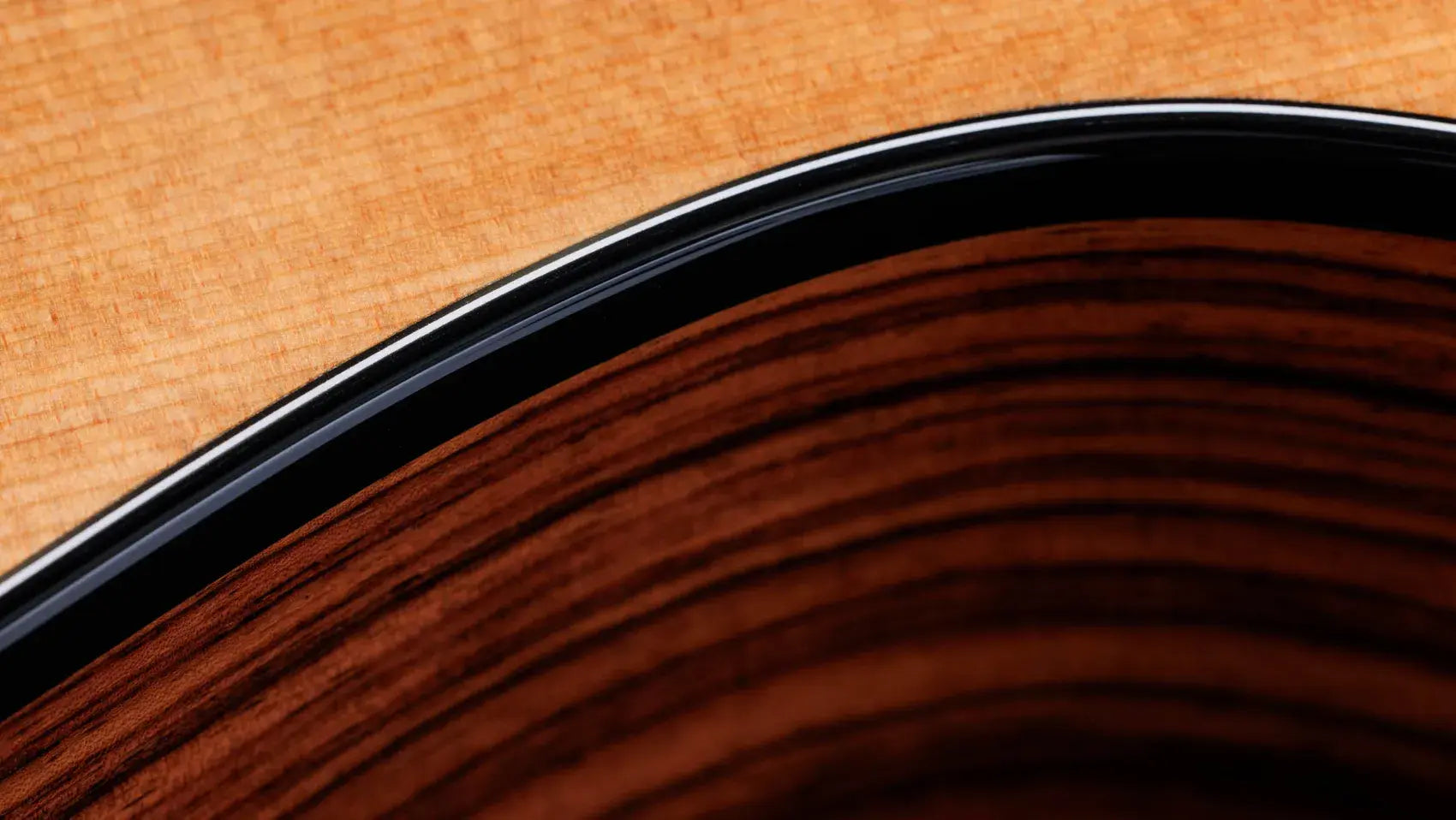 Taylor 254ce Plus 12-String Grand Auditorium Acoustic/Electric Guitar with Aerocase