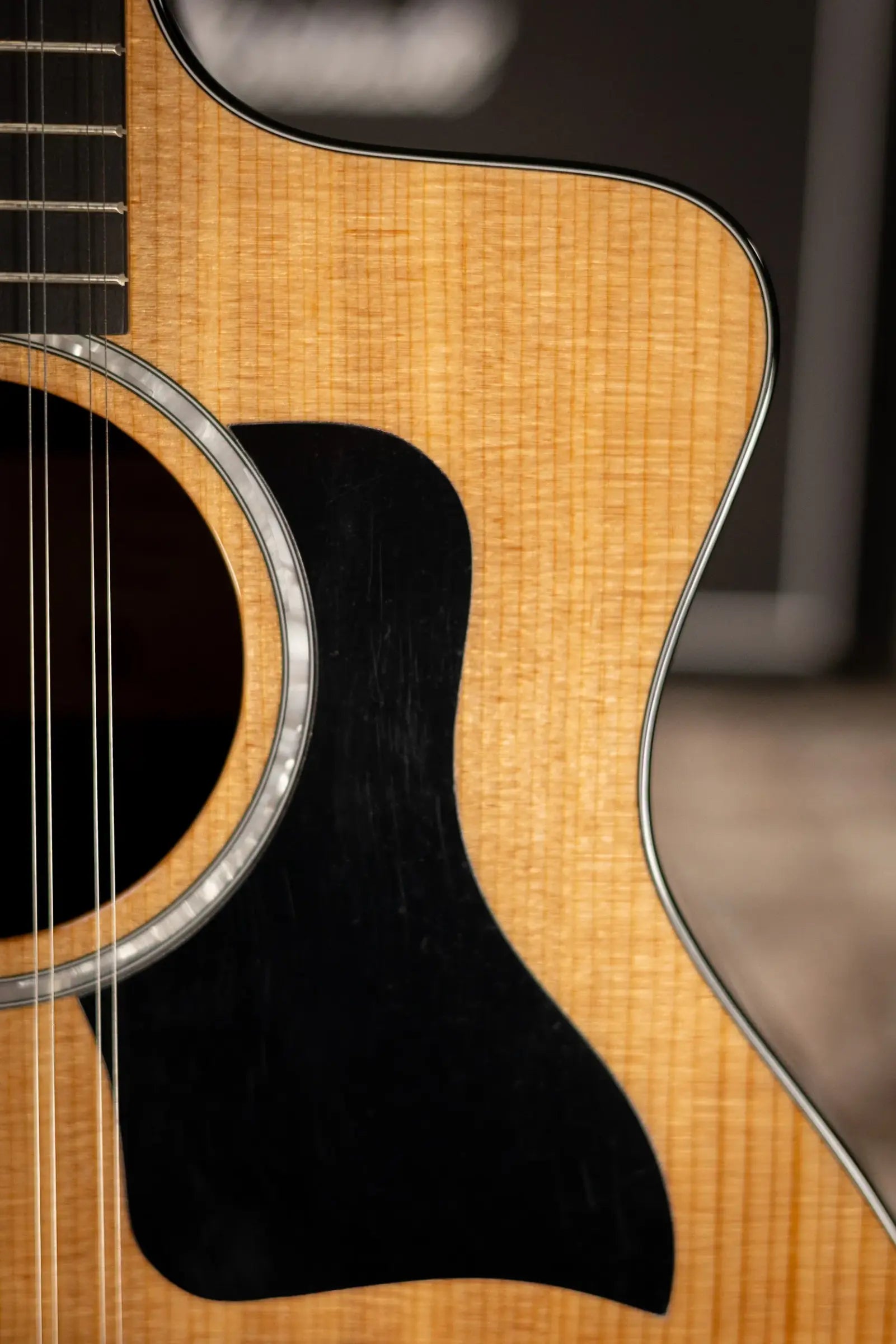 Taylor 254ce Plus 12-String Grand Auditorium Acoustic/Electric Guitar with Aerocase