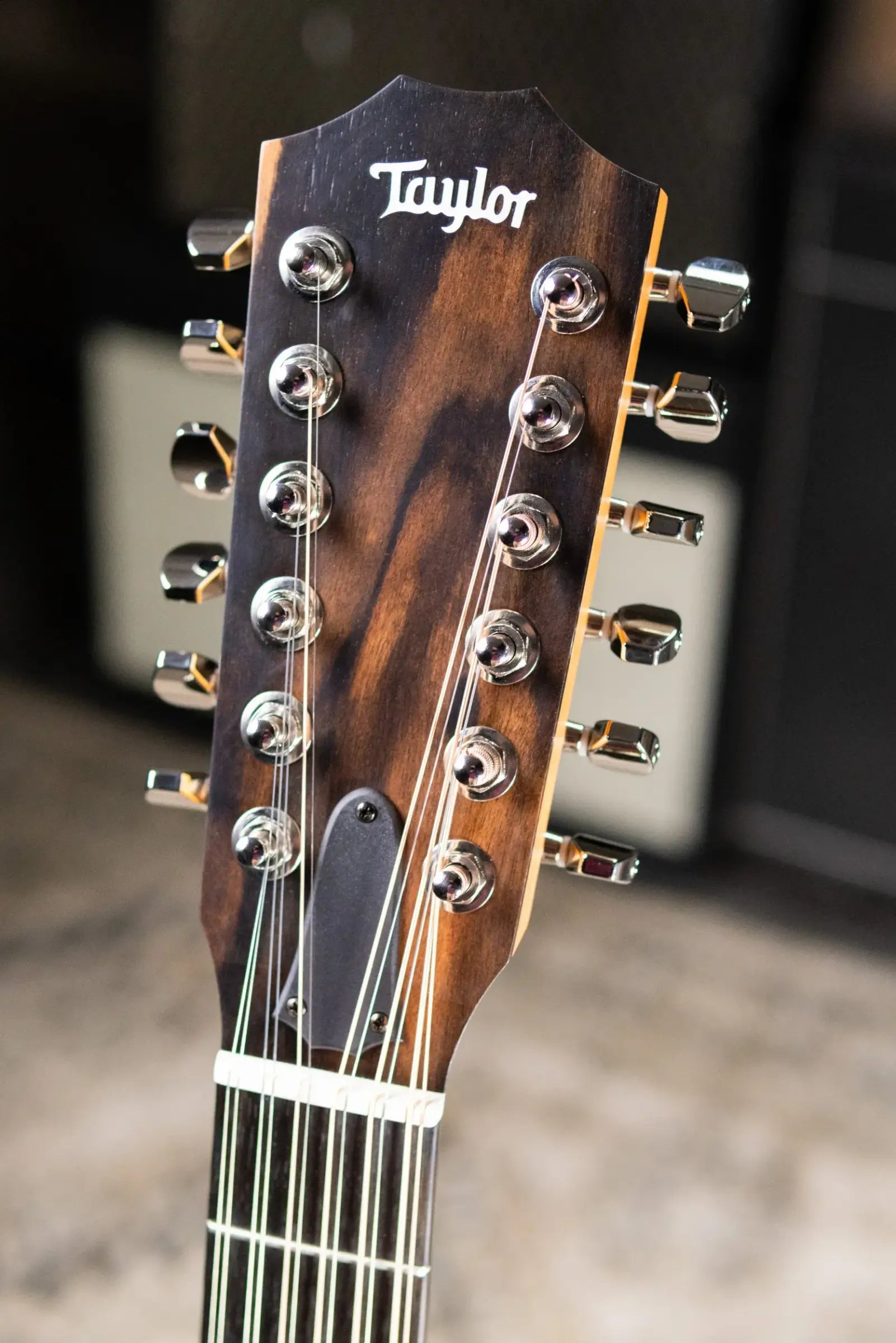 Taylor 254ce Plus Left-Hand 12-String Grand Auditorium Acoustic/Electric Guitar with Aerocase