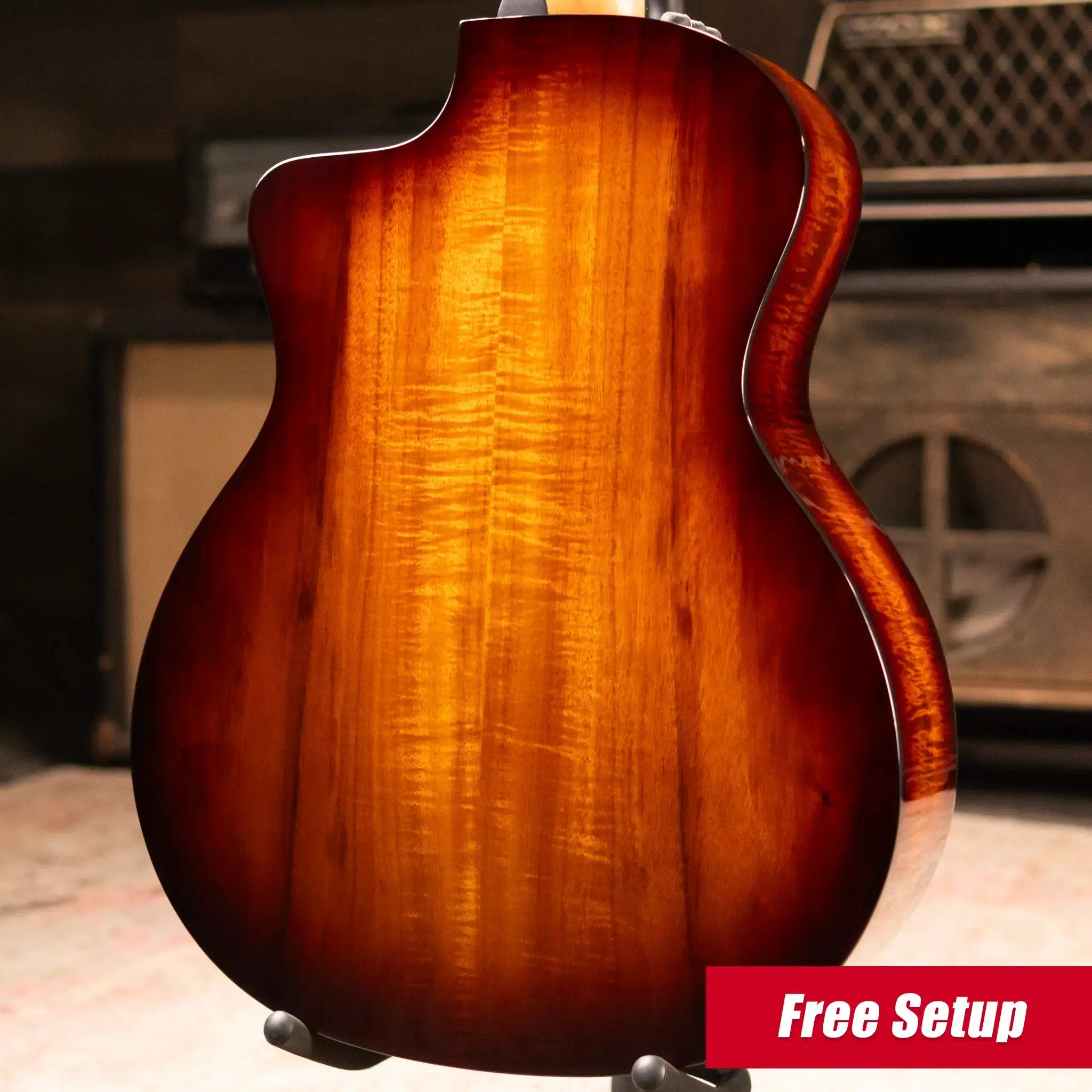 Taylor 264ce-K DLX 12-String Grand Auditorium Acoustic/Electric Guitar with Hardshell Case