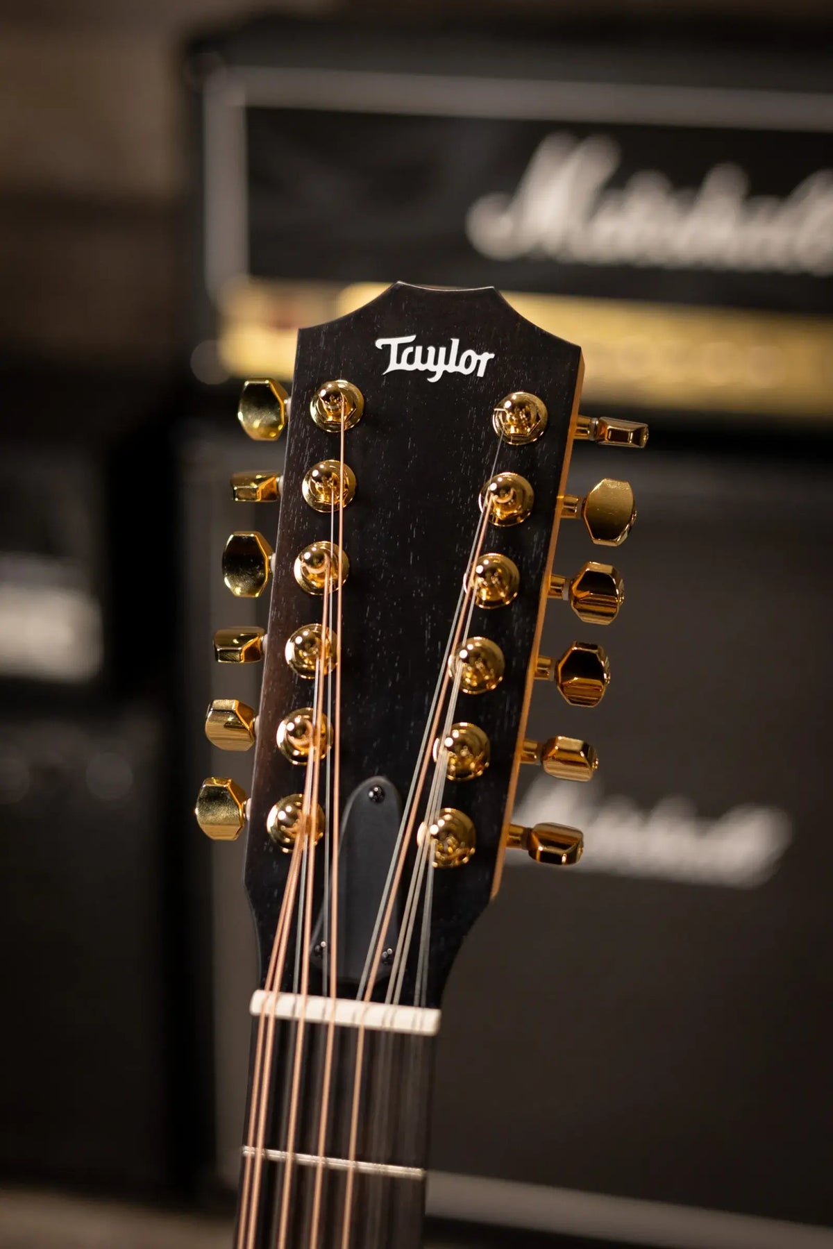 Taylor 264ce-K DLX 12-String Grand Auditorium Acoustic/Electric Guitar with Hardshell Case