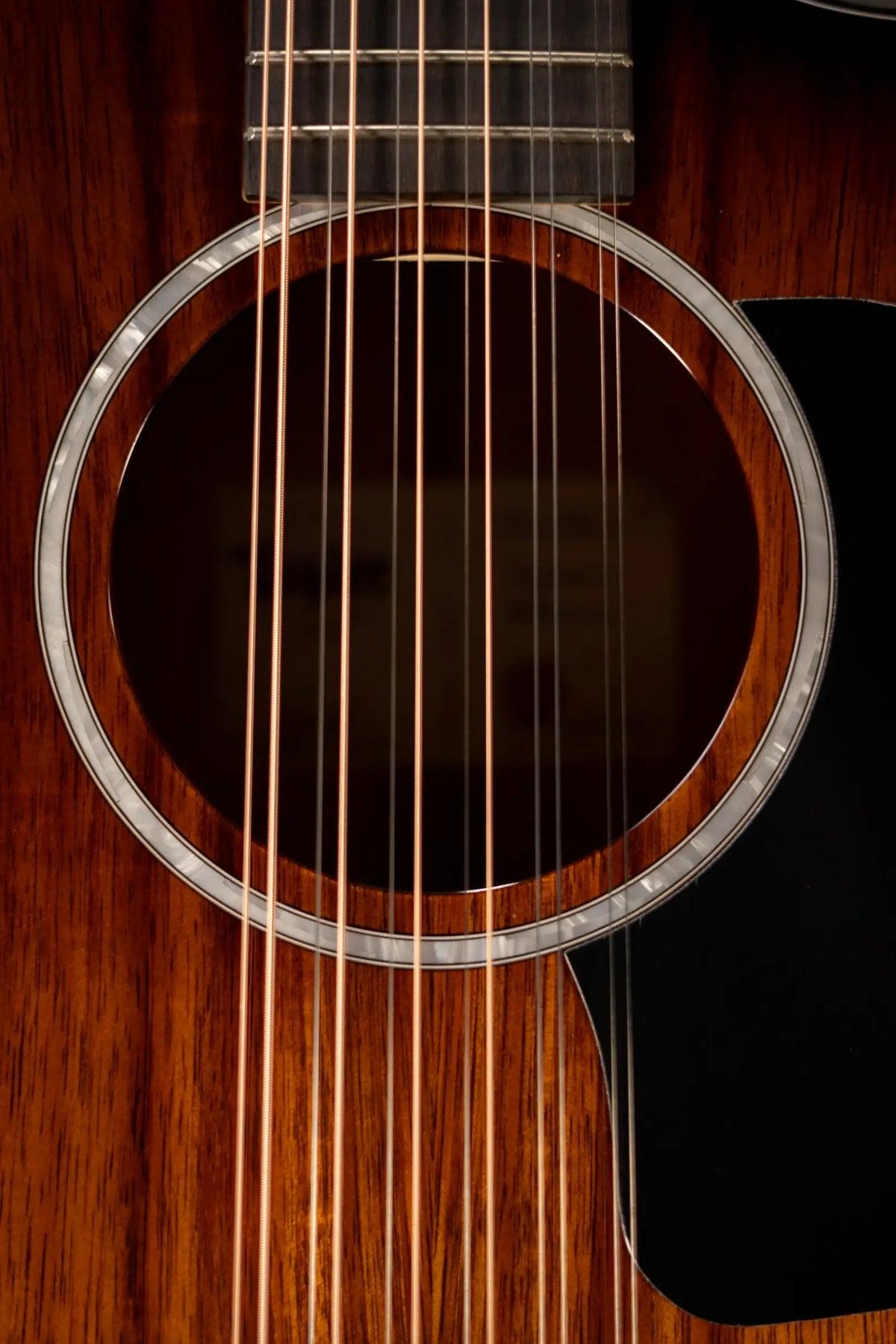 Taylor 264ce-K DLX 12-String Grand Auditorium Acoustic/Electric Guitar with Hardshell Case