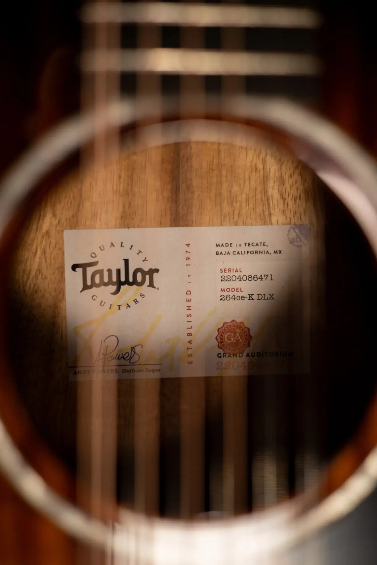 Taylor 264ce-K DLX 12-String Grand Auditorium Acoustic/Electric Guitar with Hardshell Case