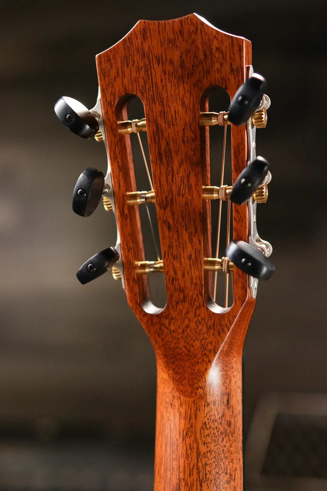 Taylor 312ce 12-Fret Grand Concert Acoustic/Electric Guitar with Hardshell Case