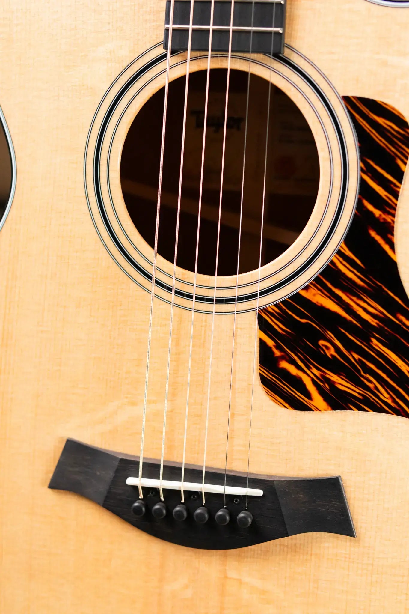 Taylor 312ce 12-Fret Grand Concert Acoustic/Electric Guitar with Hardshell Case