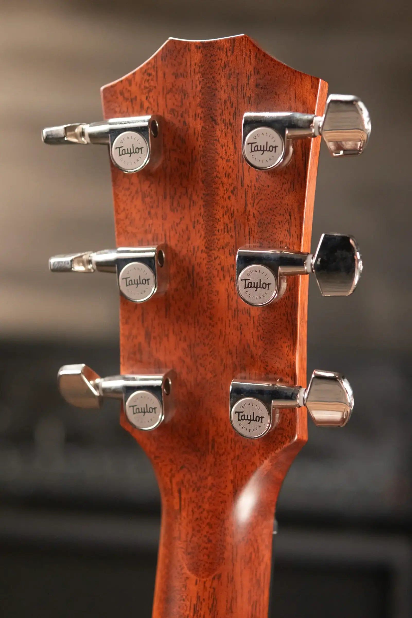Taylor 312ce Grand Concert Acoustic/Electric Guitar with Hardshell Case - Used