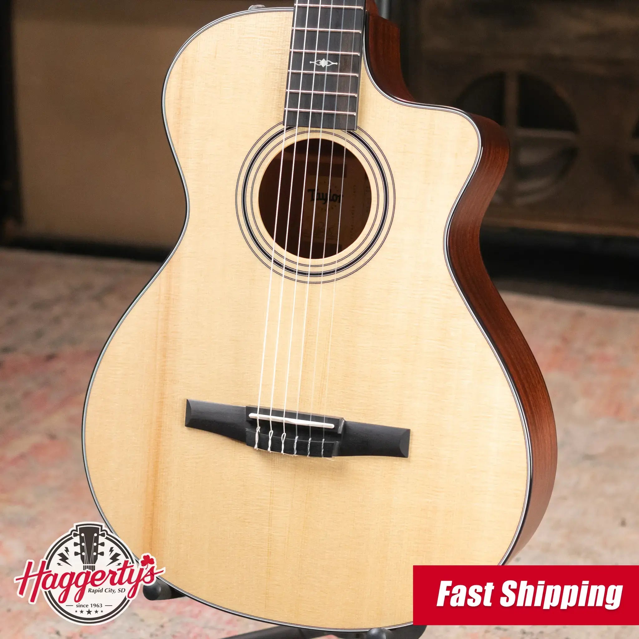 Taylor 312ce-N Nylon Grand Concert Acoustic/Electric Guitar with Hardshell Case