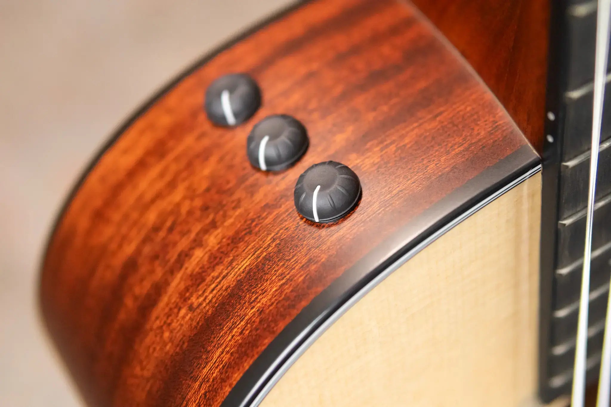 Taylor 312ce-N Nylon Grand Concert Acoustic/Electric Guitar with Hardshell Case