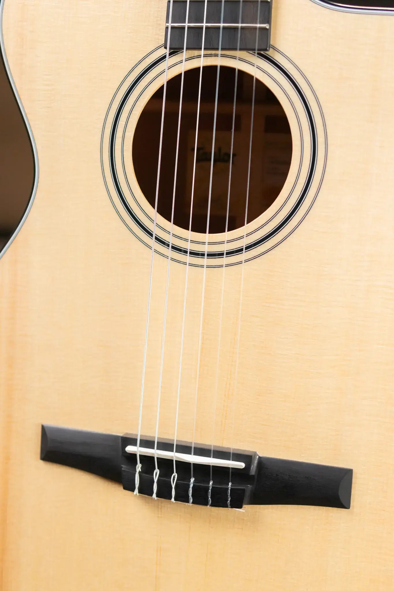 Taylor 312ce-N Nylon Grand Concert Acoustic/Electric Guitar with Hardshell Case