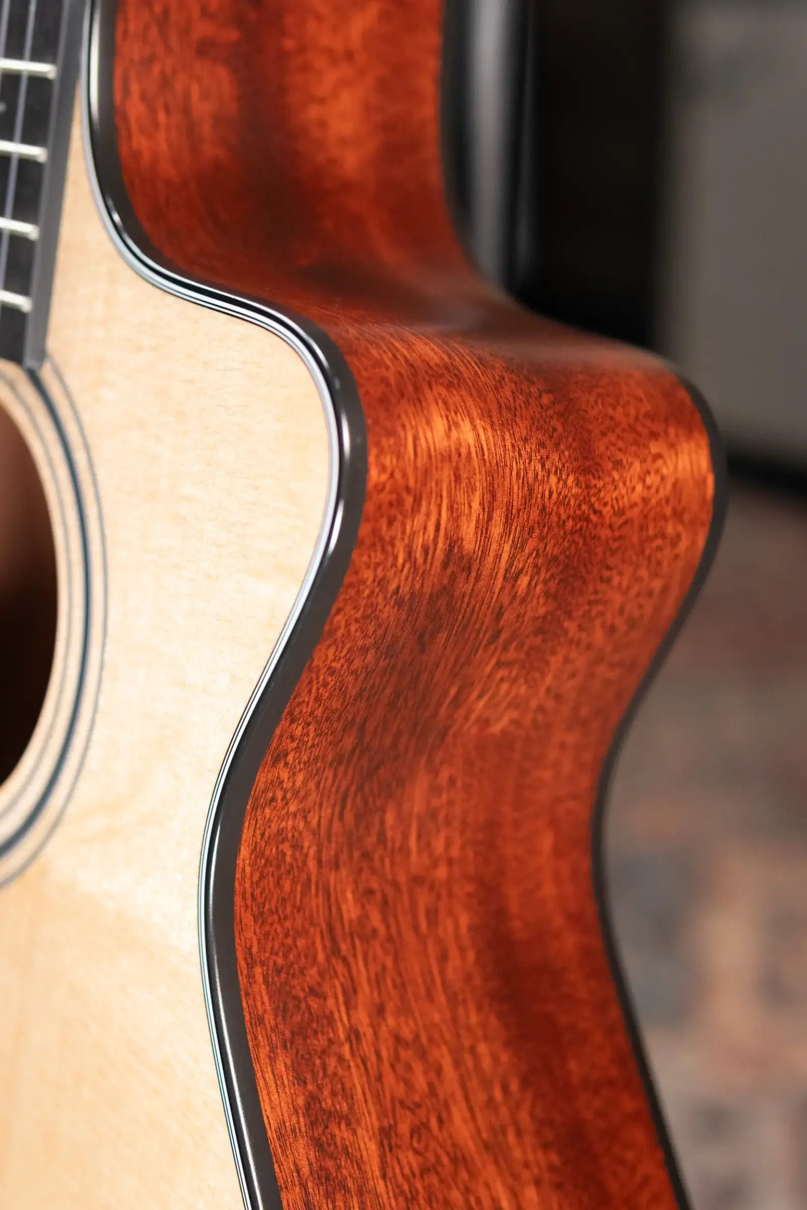 Taylor 312ce-N Nylon Grand Concert Acoustic/Electric Guitar with Hardshell Case