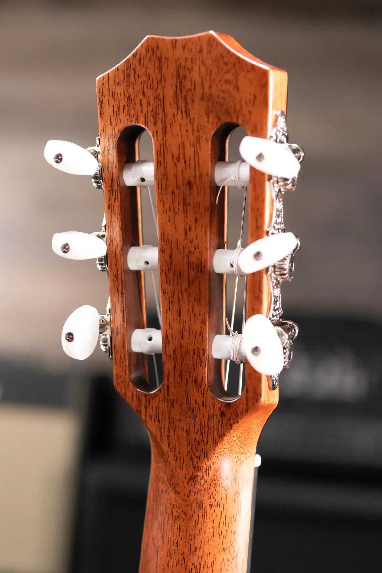 Taylor 312ce-N Nylon Grand Concert Acoustic/Electric Guitar with Hardshell Case