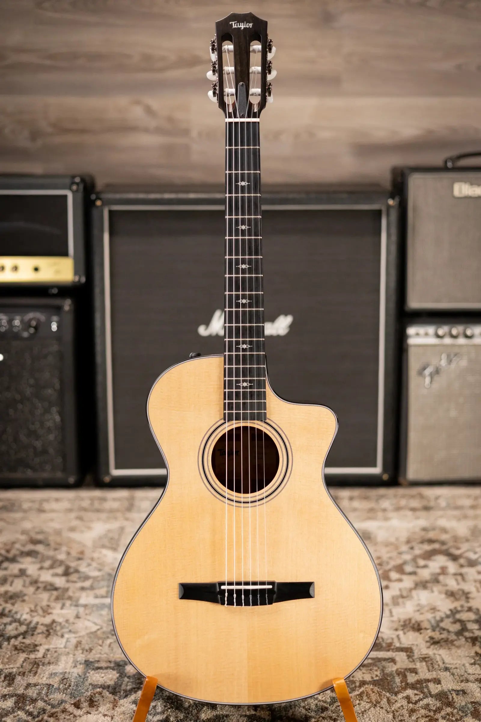 Taylor 312ce-N Nylon Grand Concert Acoustic/Electric Guitar with Hardshell Case