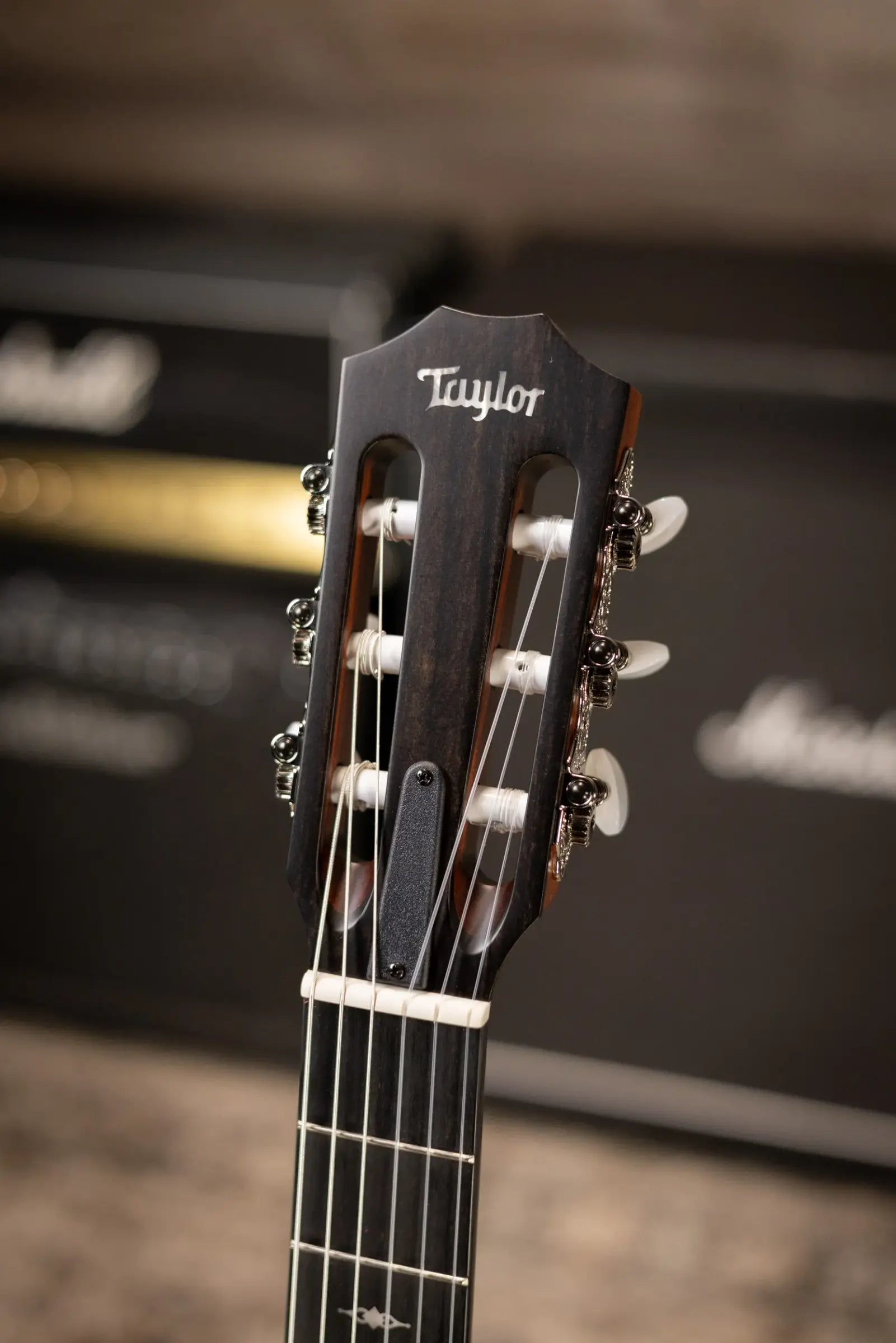 Taylor 312ce-N Nylon Grand Concert Acoustic/Electric Guitar with Hardshell Case