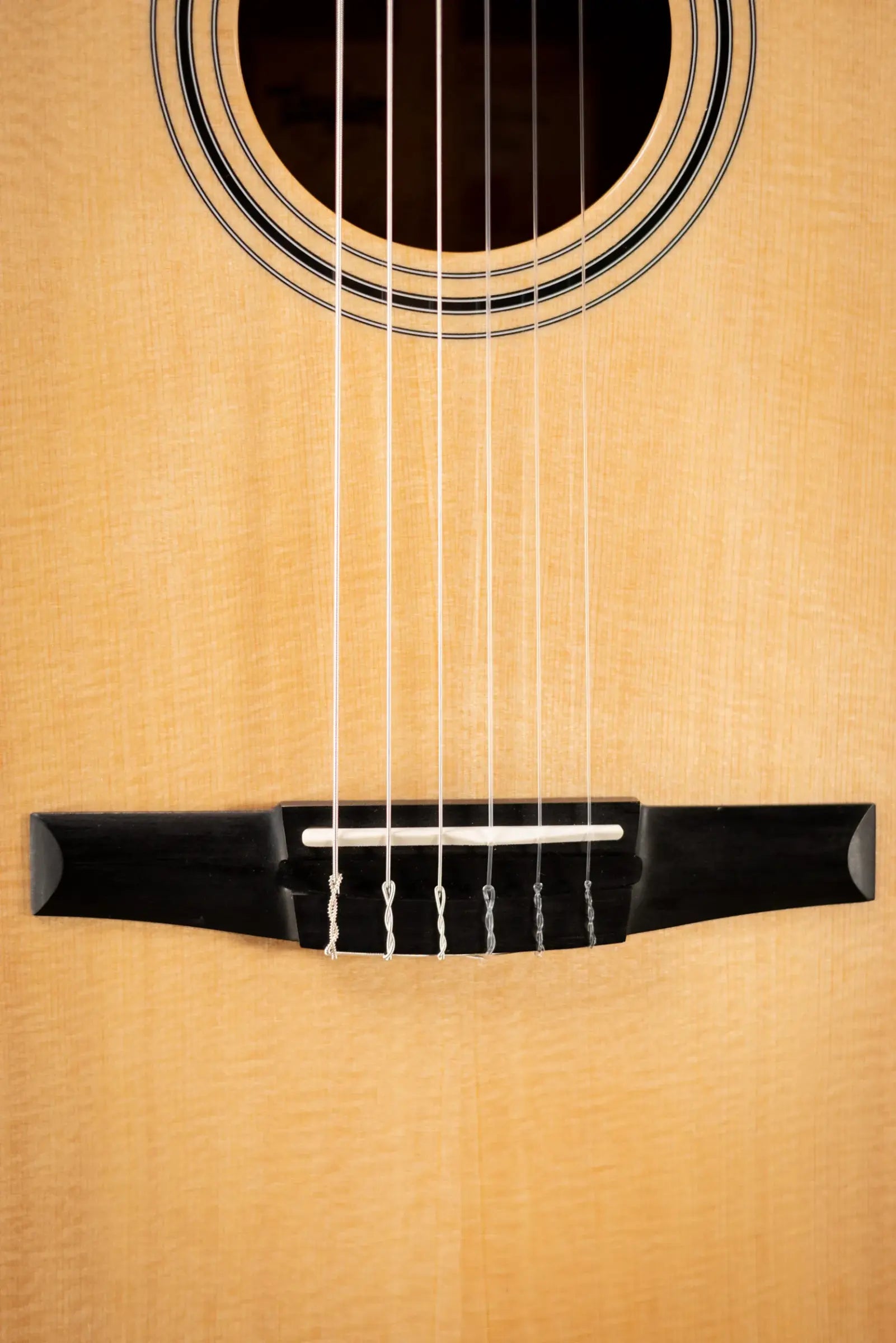 Taylor 312ce-N Nylon Grand Concert Acoustic/Electric Guitar with Hardshell Case